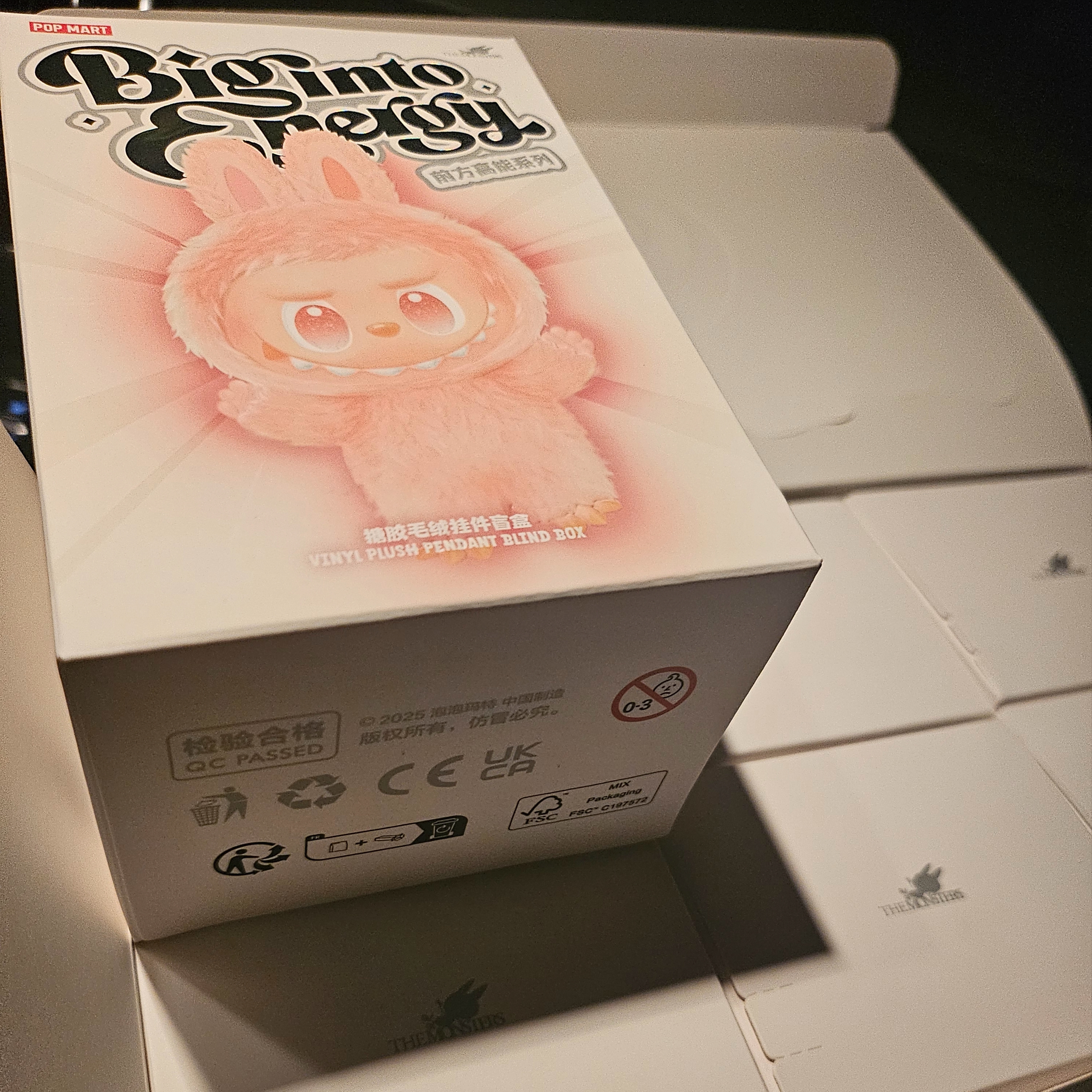 Pop Mart Labubu The Monsters Highlight Series Sealed Case (1 Blind Box) 착용 스타일