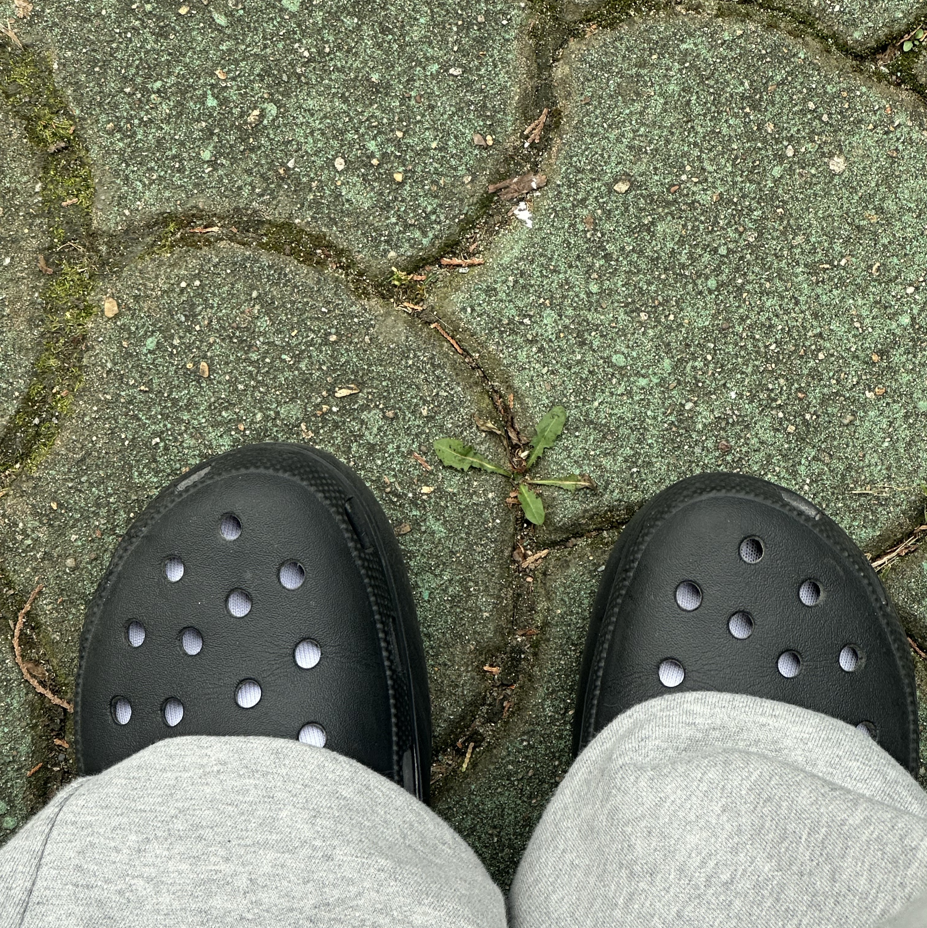(W) Crocs Classic Platform Clog Black 착용 스타일