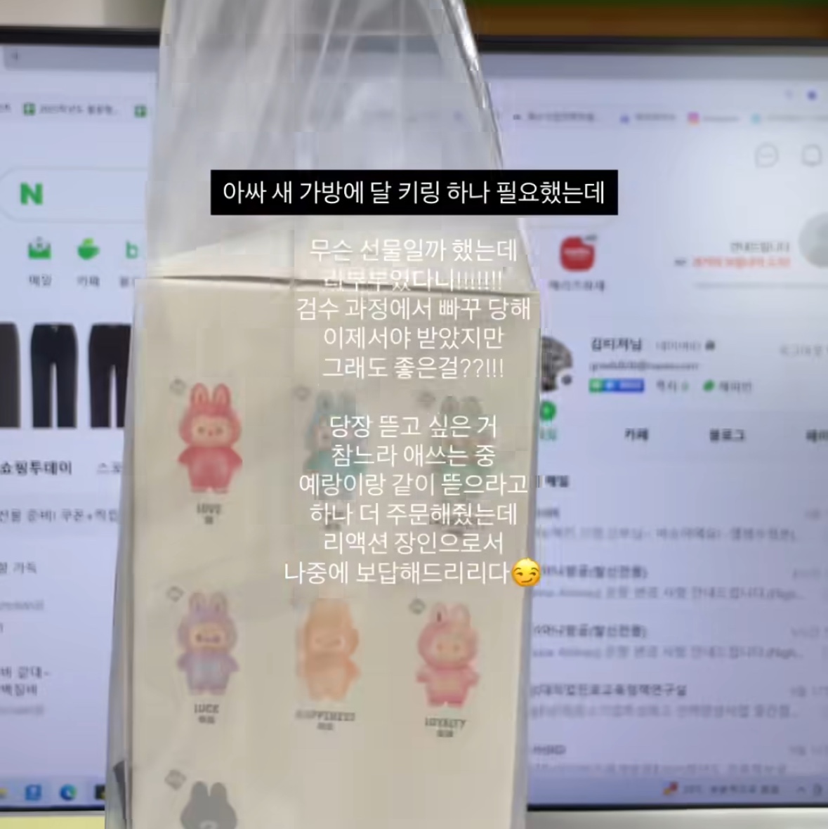 Pop Mart Labubu The Monsters Highlight Series Sealed Case (Bundle of 2/1 Blind Box) 착용 스타일