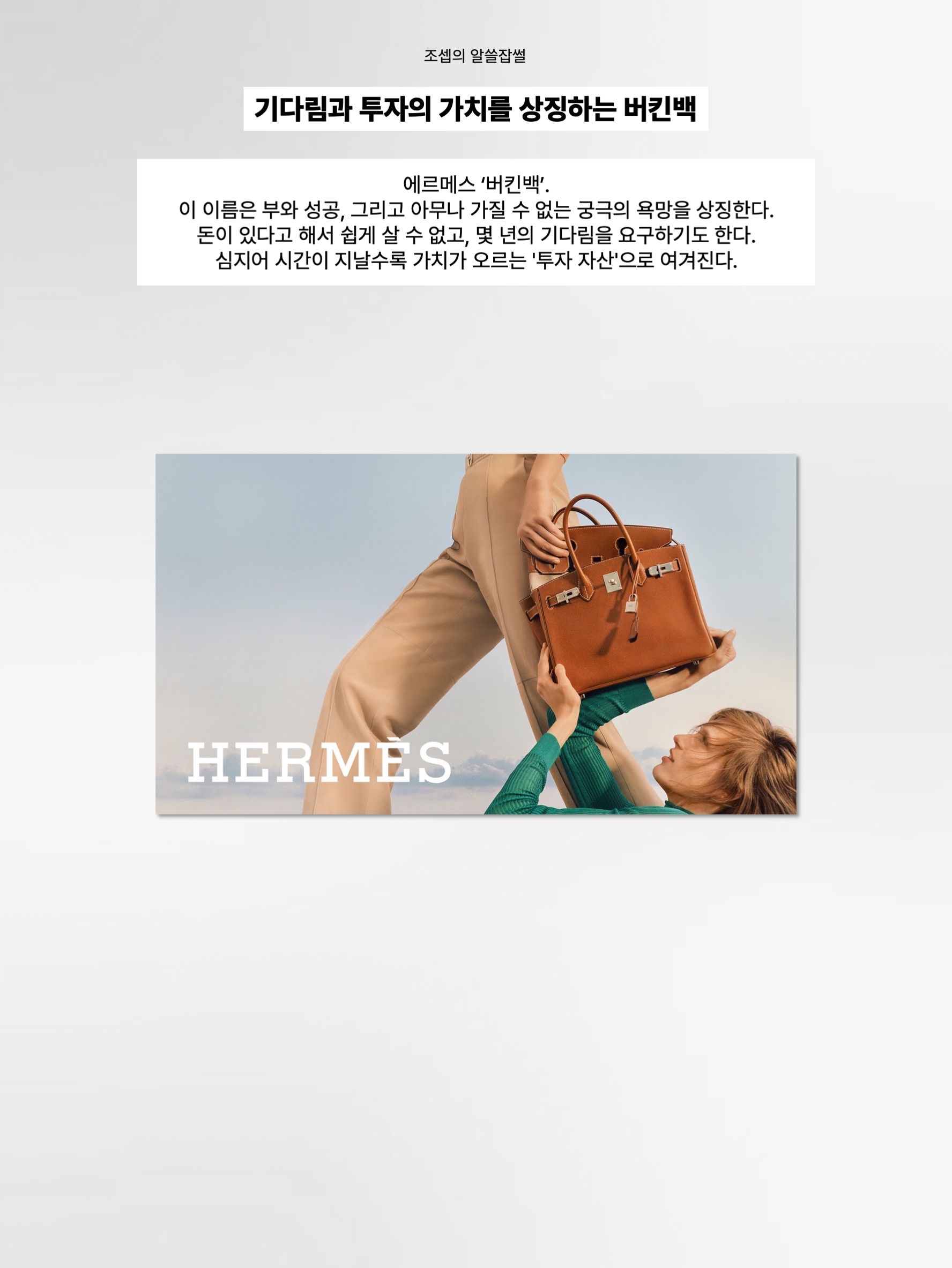 Hermes Birkin 25 Bag Togo & Gold 착용 스타일 - 2