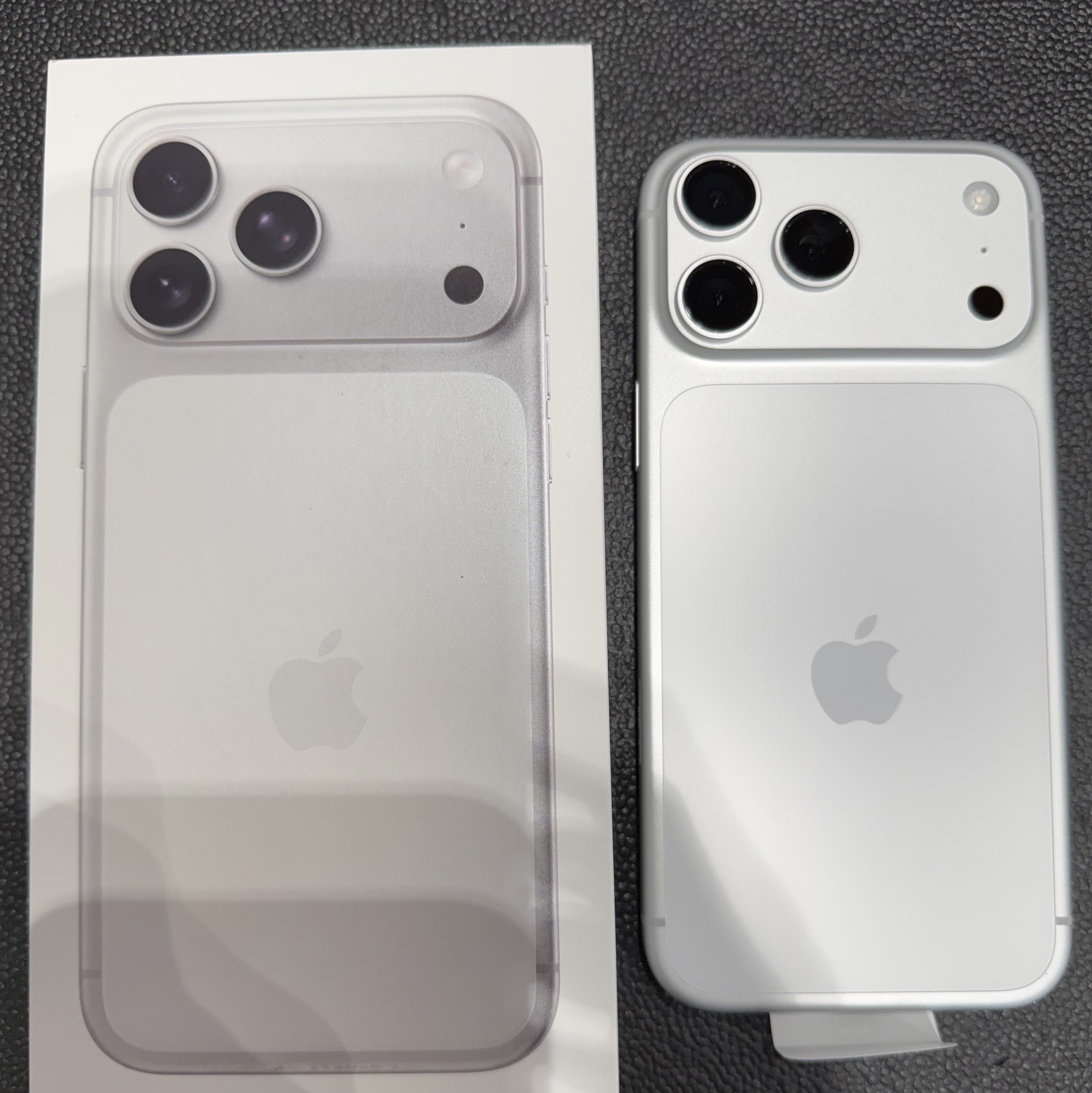 Apple iPhone 17 Pro Max 512GB Silver 착용 스타일 - 1