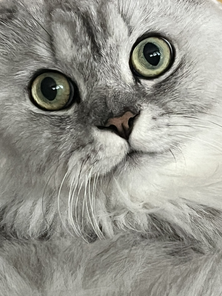 관심 유저 프로필 이미지