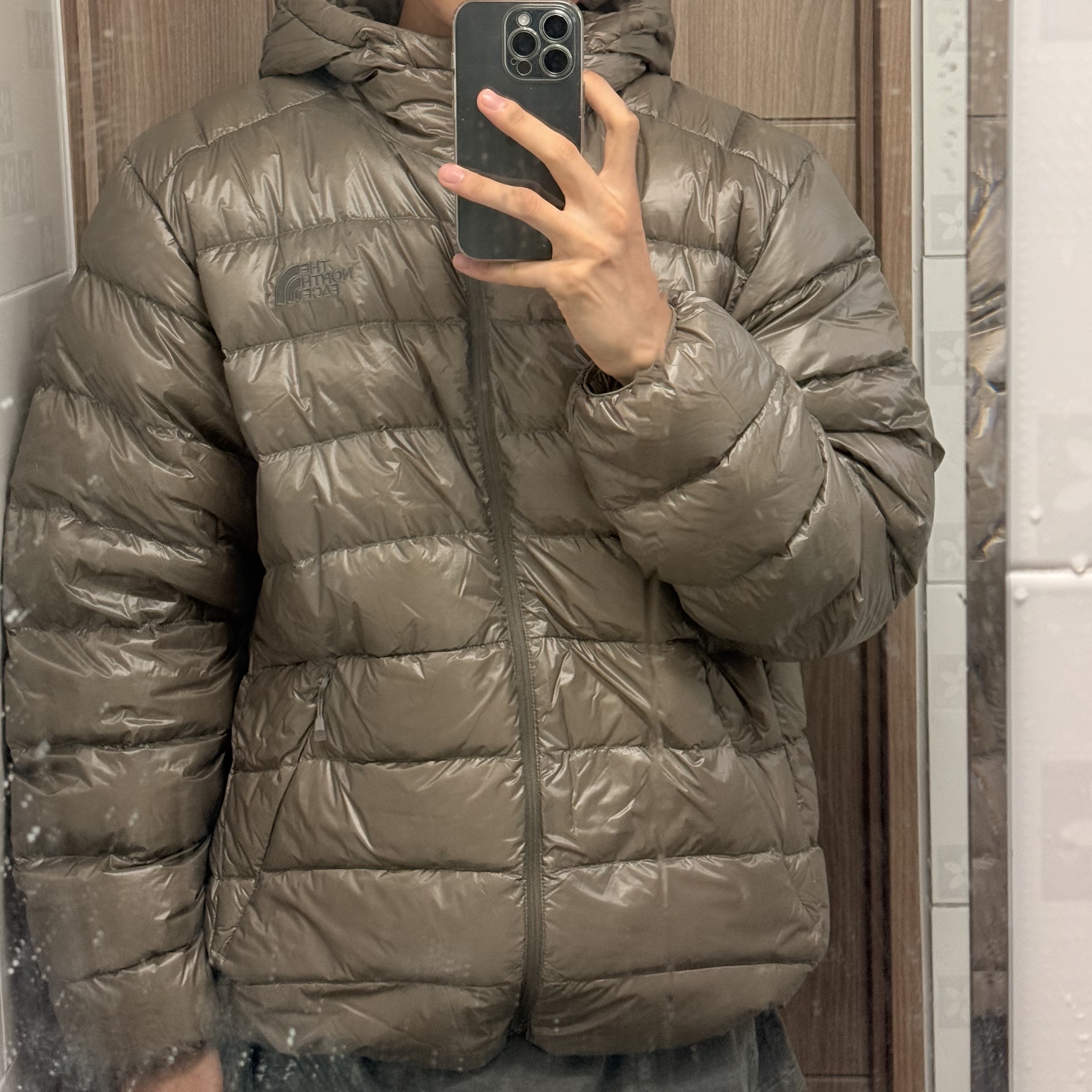 The North Face Matier EX RDS Down Hoodie Beige Brown - 25FW 착용 스타일 - 1