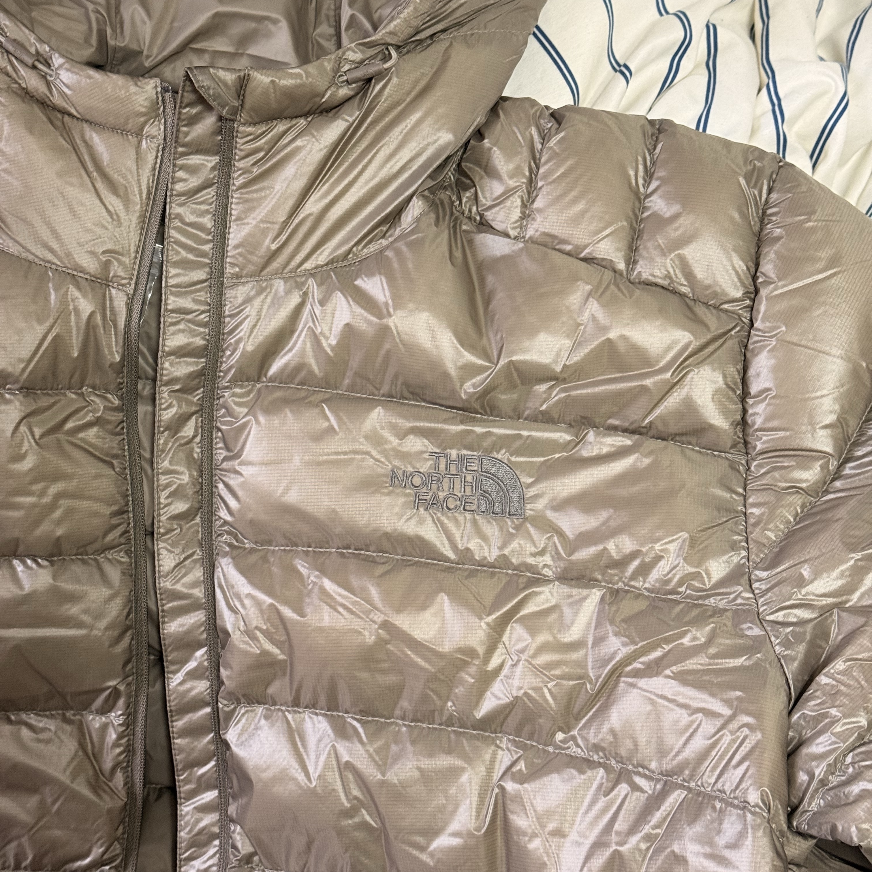 The North Face Matier EX RDS Down Hoodie Beige Brown - 25FW 착용 스타일 - 3