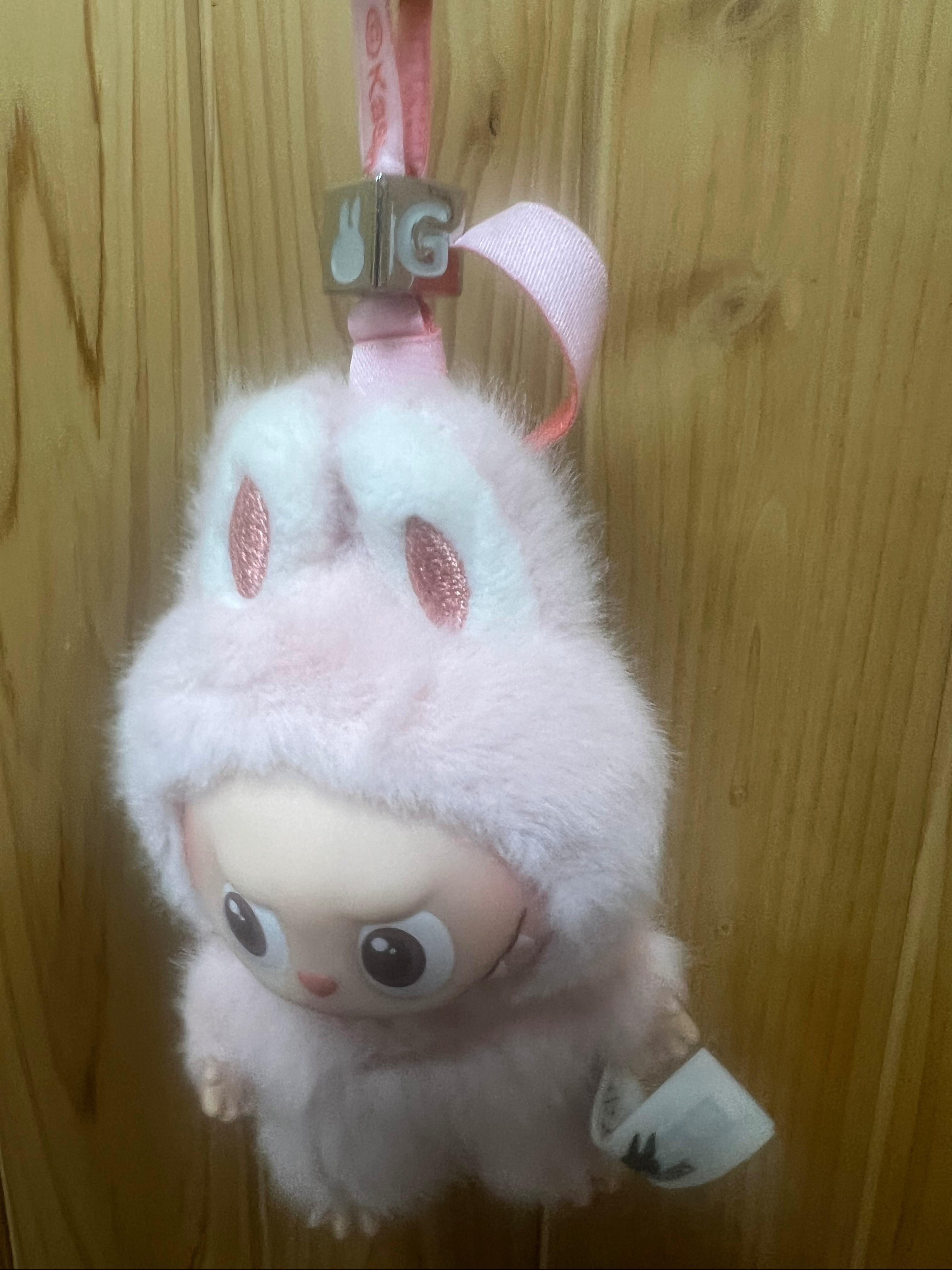 Pop Mart Labubu The Monsters Pin For Love Series Vinyl Plush Pendant (A-M) G (Opened Case) 착용 스타일