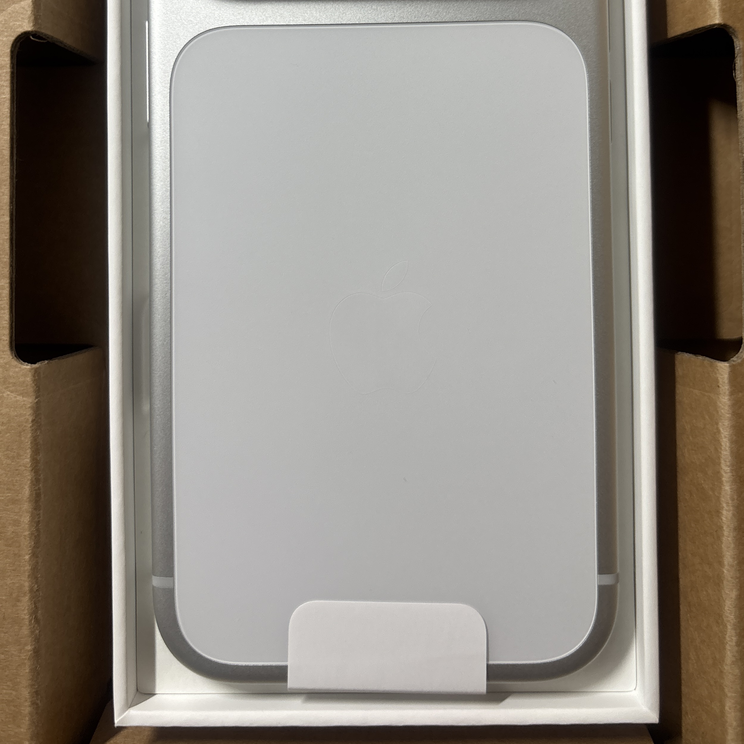 Apple iPhone 17 Pro 256GB Silver 착용 스타일