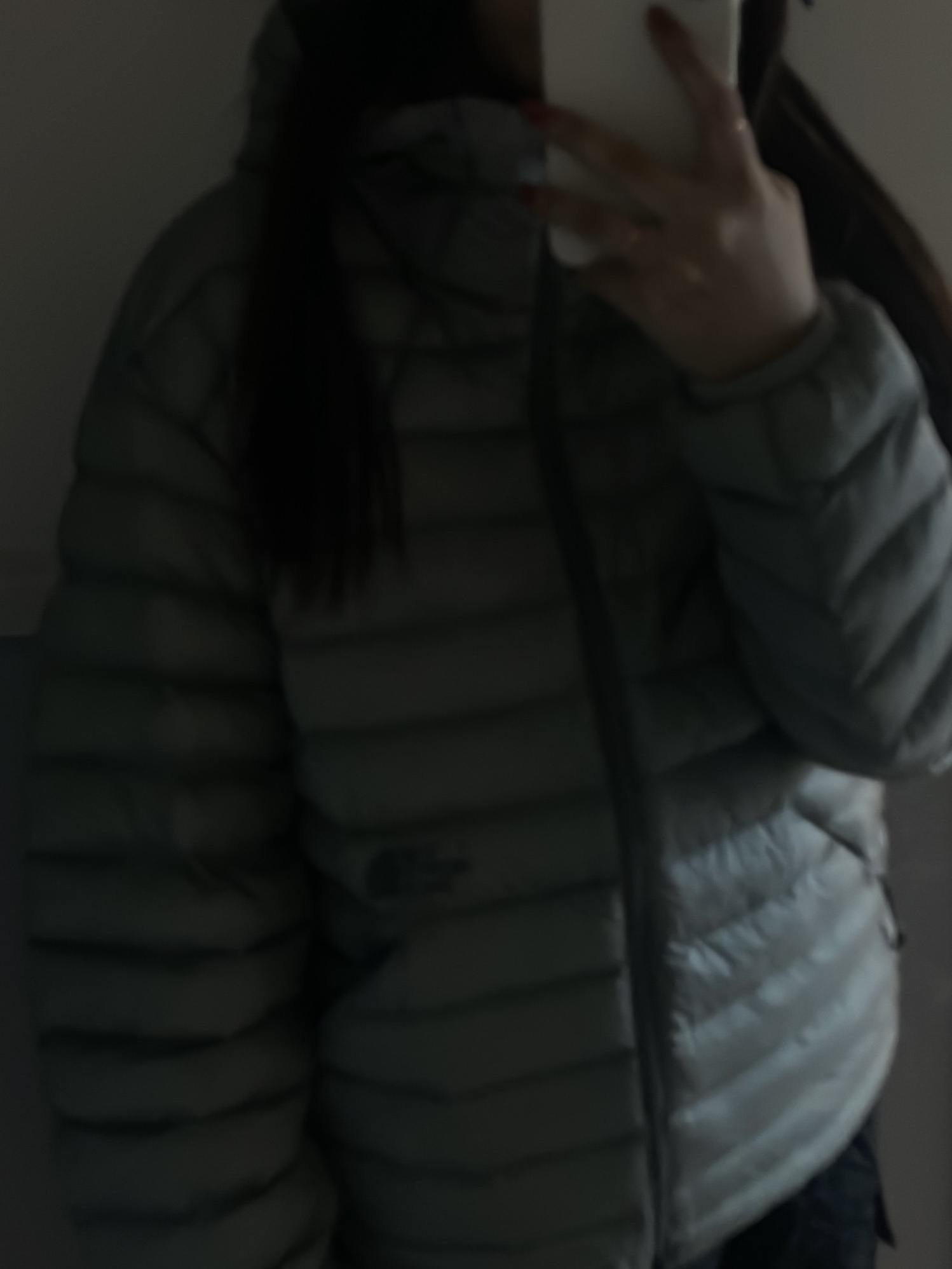 The North Face Ventus On Jacket Silver 착용 스타일 - 2