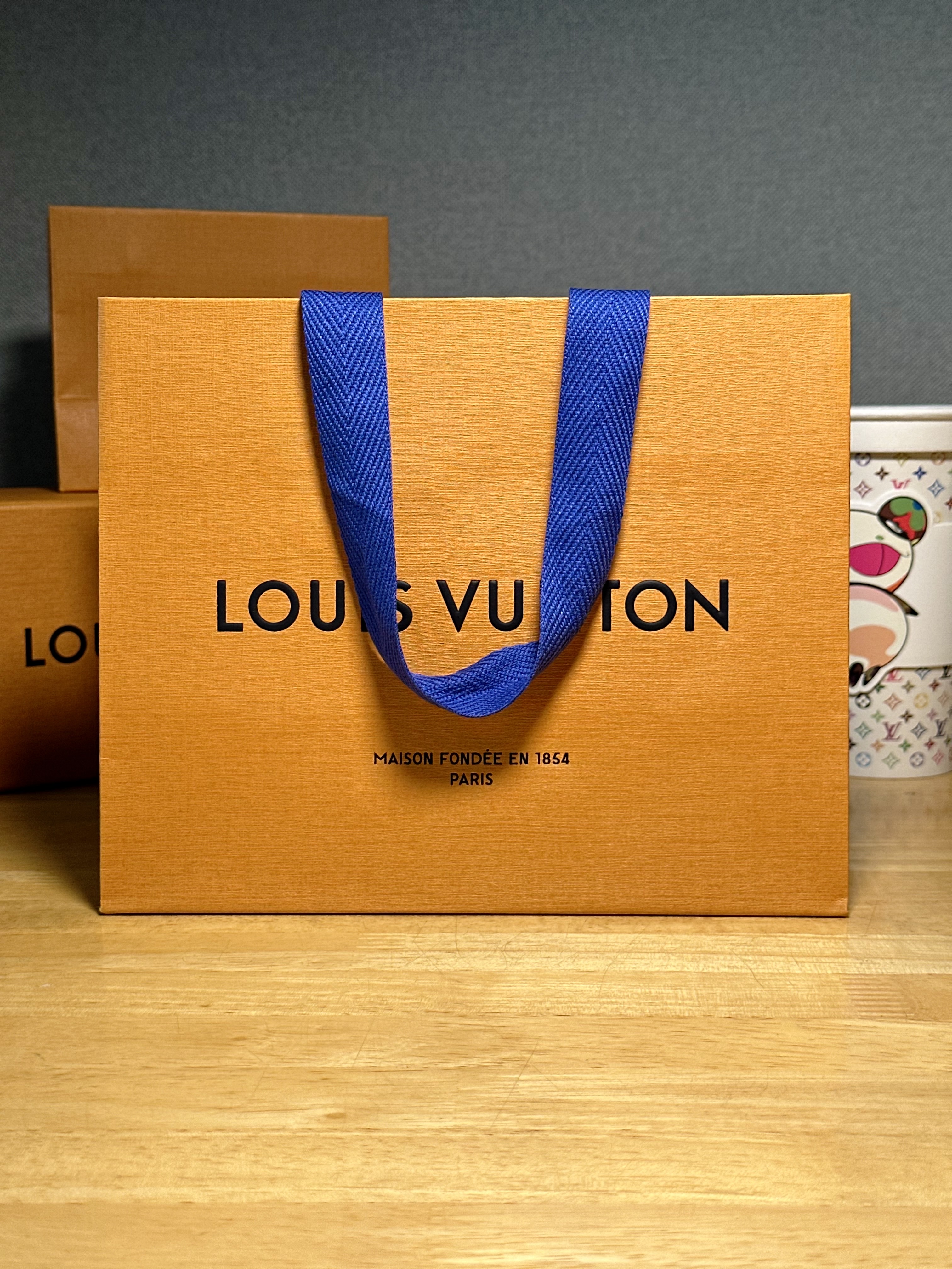 Louis Vuitton Pocket Organizer Blue 착용 스타일 - 1