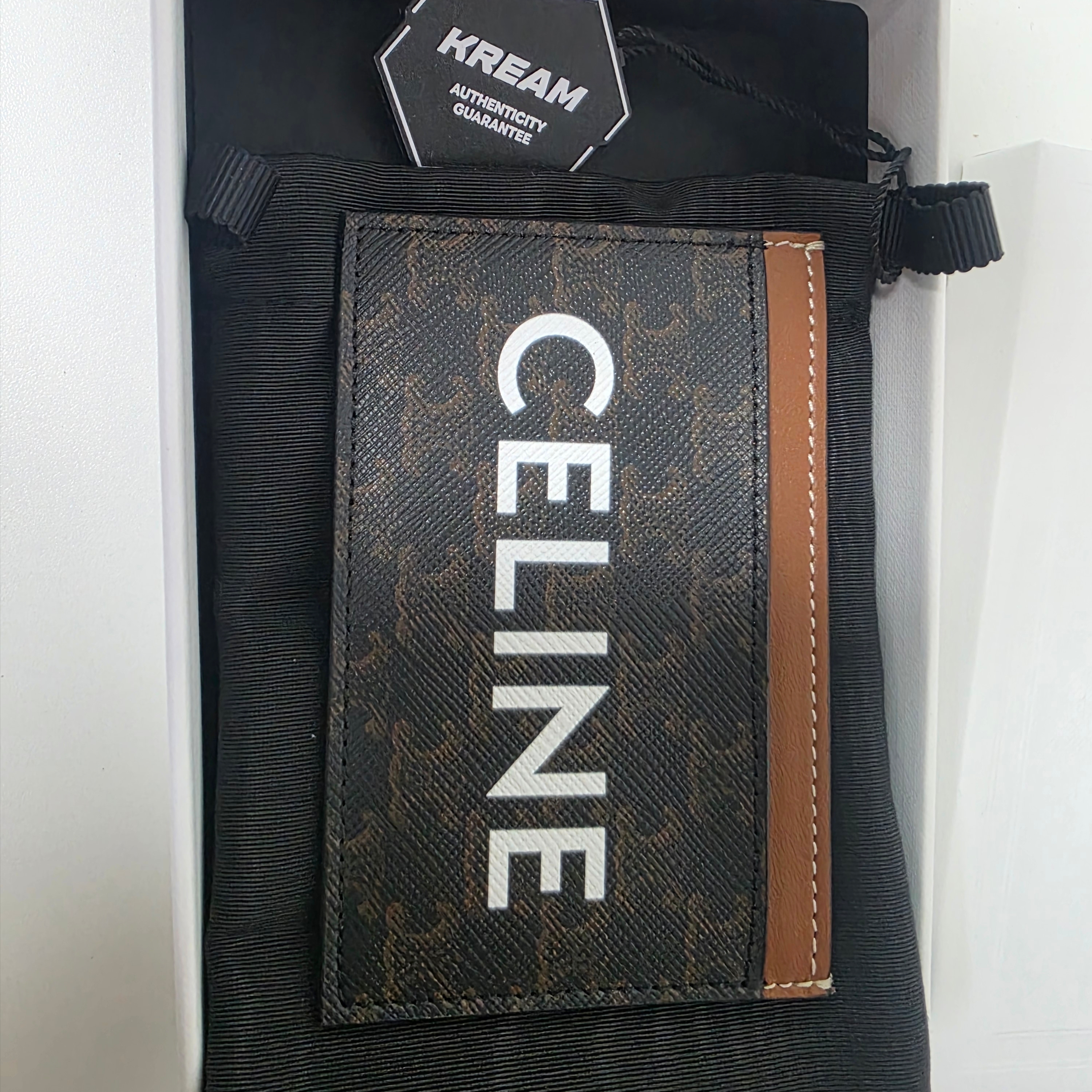 Celine Card Holder in Triomphe Canvas with Celine Print Tan 착용 스타일