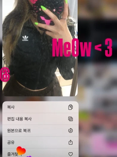 스타일 카드