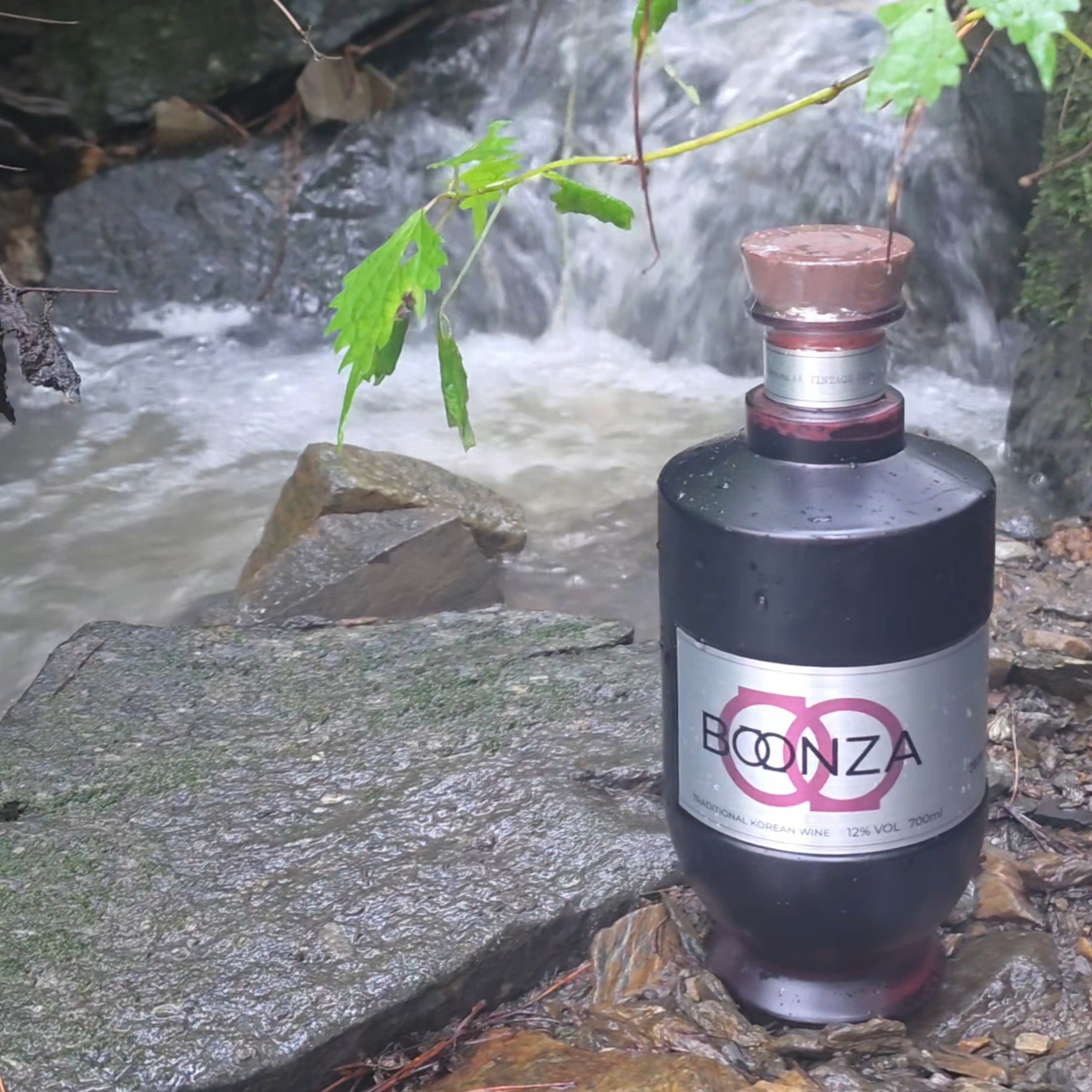 BOONZA 12% 700ml 착용 스타일 - 3