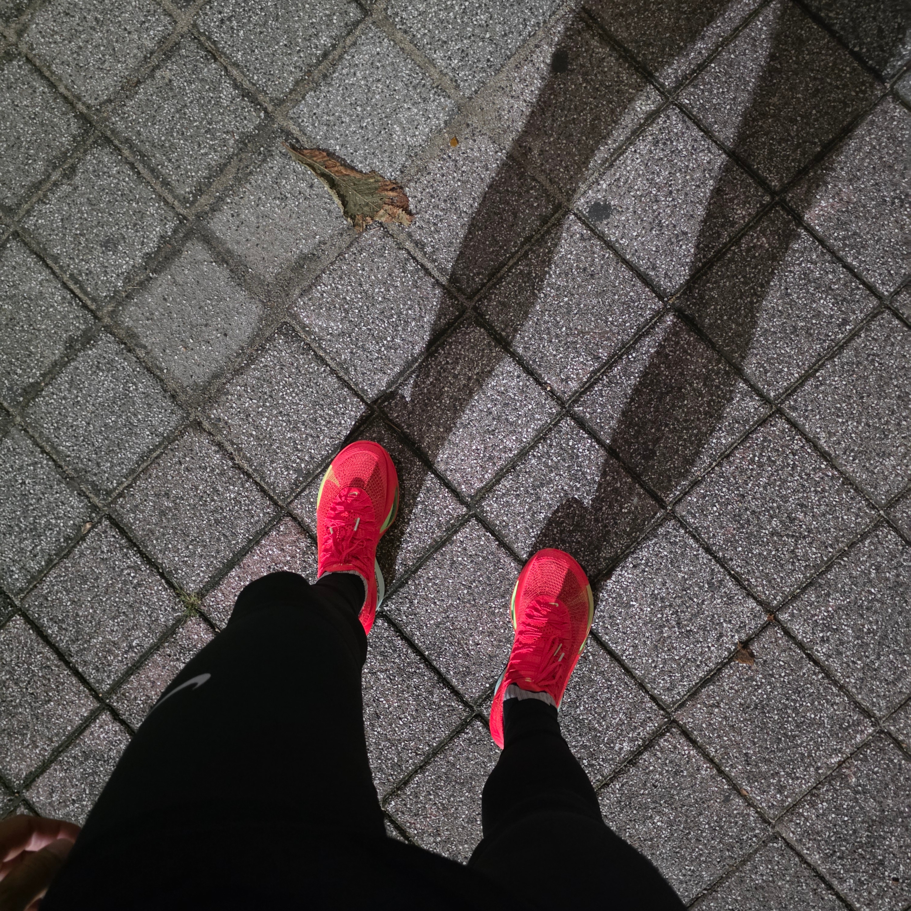 Nike Air Zoom Alphafly Next% 3 Bright Crimson Lime Blast 착용 스타일