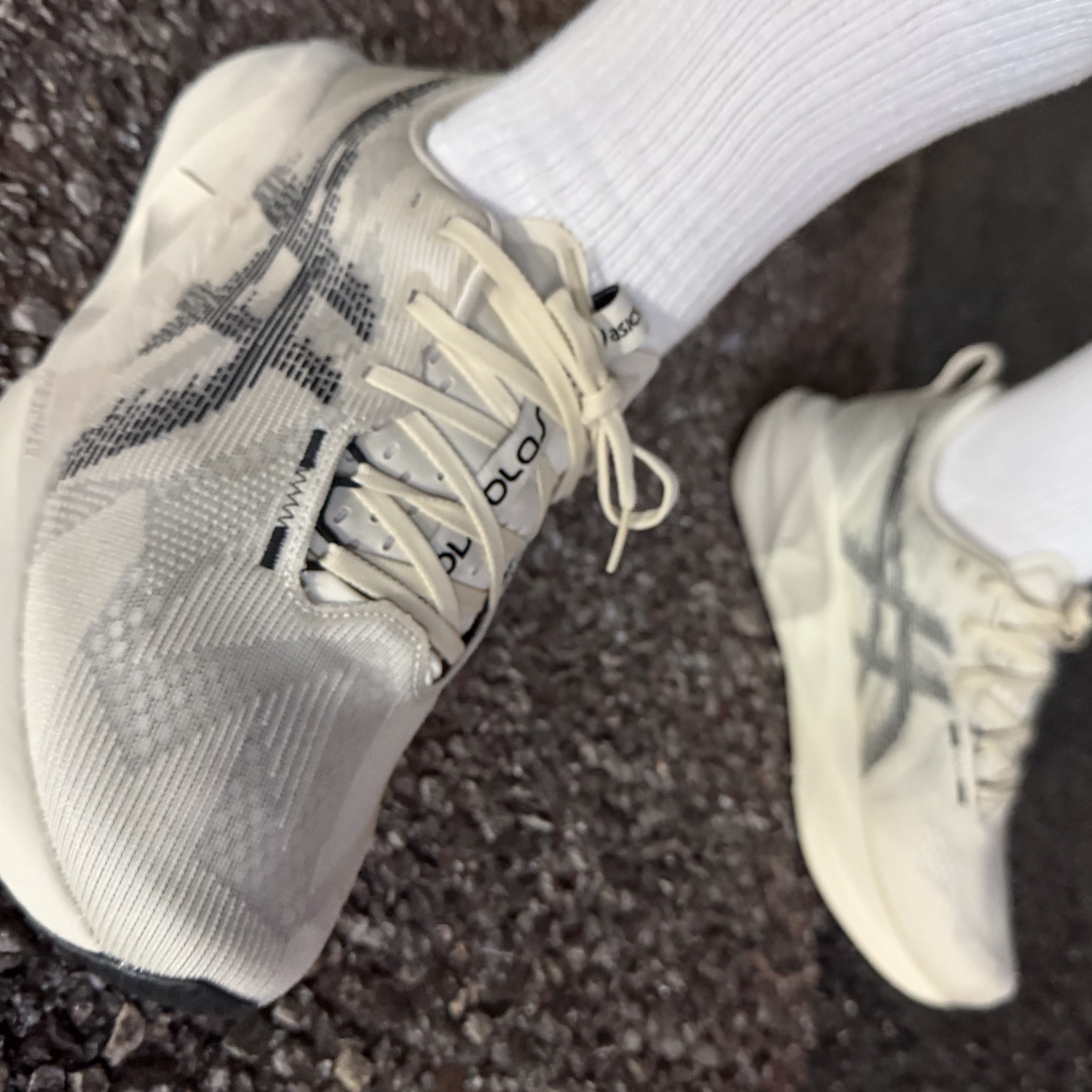 Asics Novablast 5 Oatmeal Black - D Standard 착용 스타일