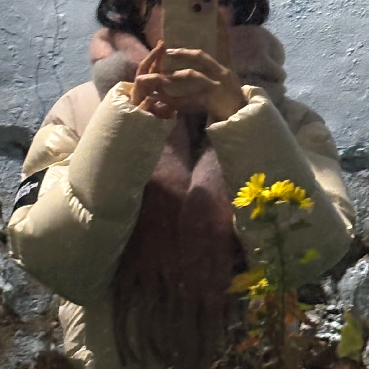 (W) The North Face White Label Novelty Nuptse Down Jacket Cream Beige 착용 스타일