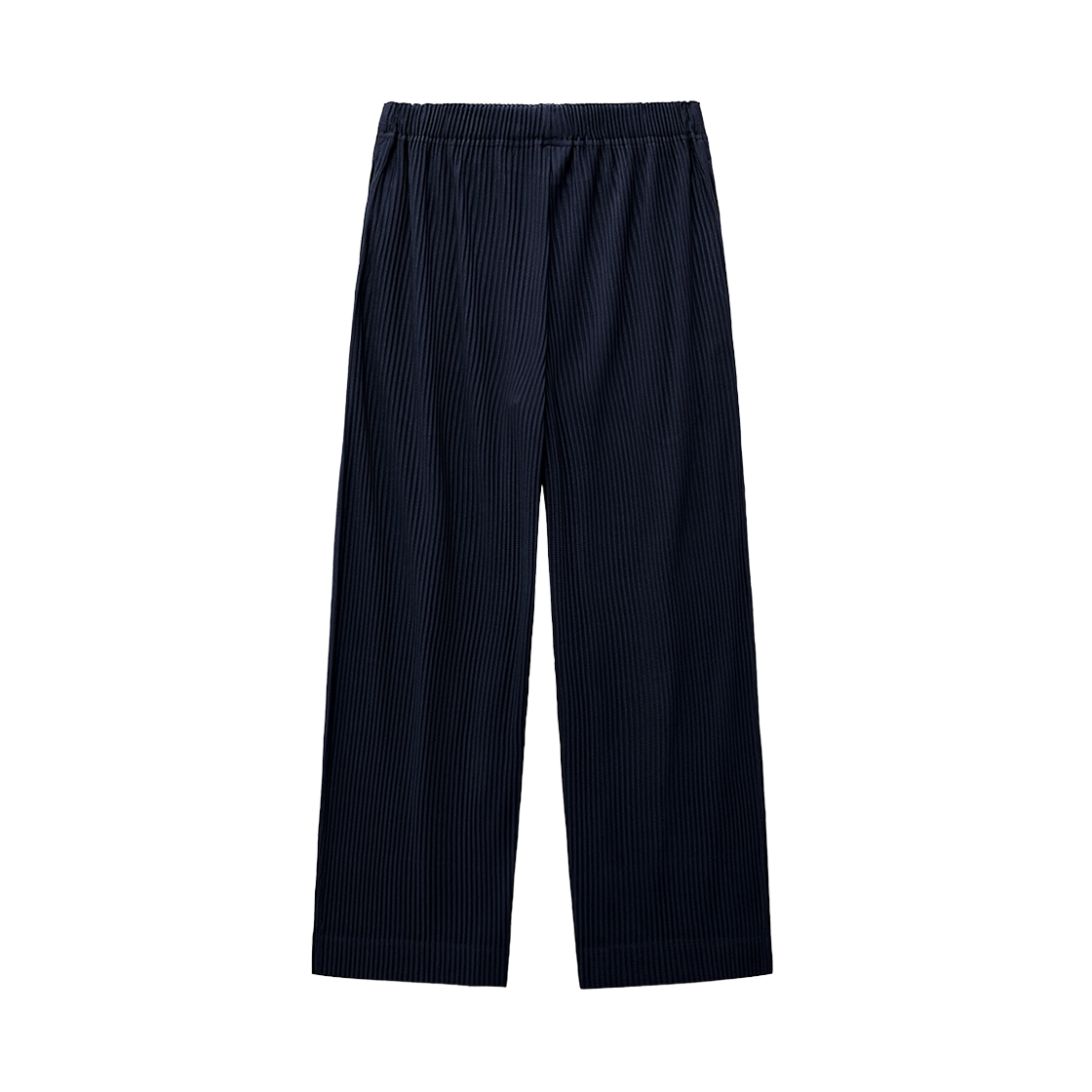TNPA5F111N2 TNGT Yoyogi Pleats Wide-fit Pants Navy