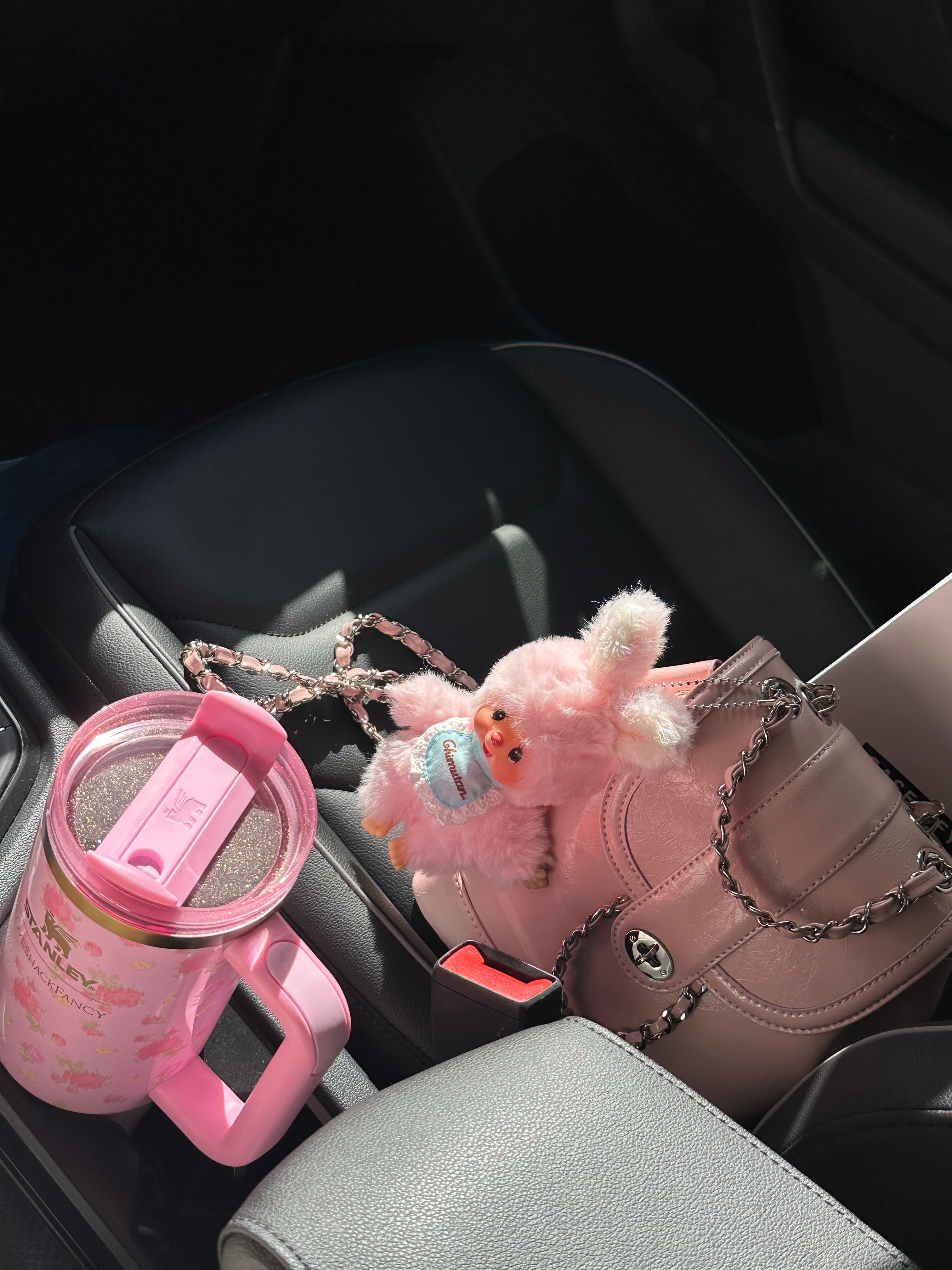 Stanley 1913 x LoveShackFancy Summer Quencher H2.0 Flowstate Tumbler 887ml Ibiza Sunset, Cardinal Red Hawoo-A Bag Mute Pink 착용 스타일
