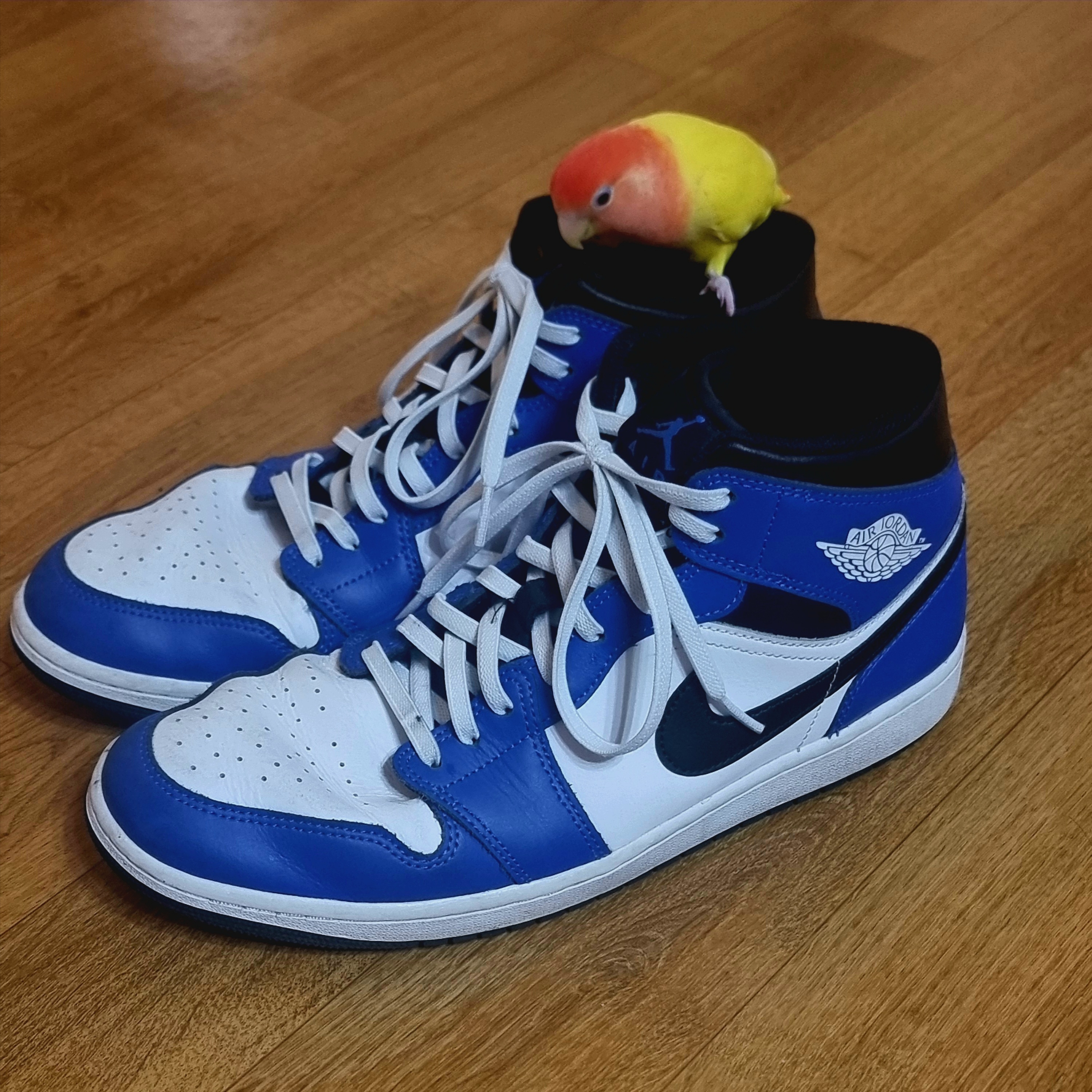 Jordan 1 Mid Game Royal White 착용 스타일