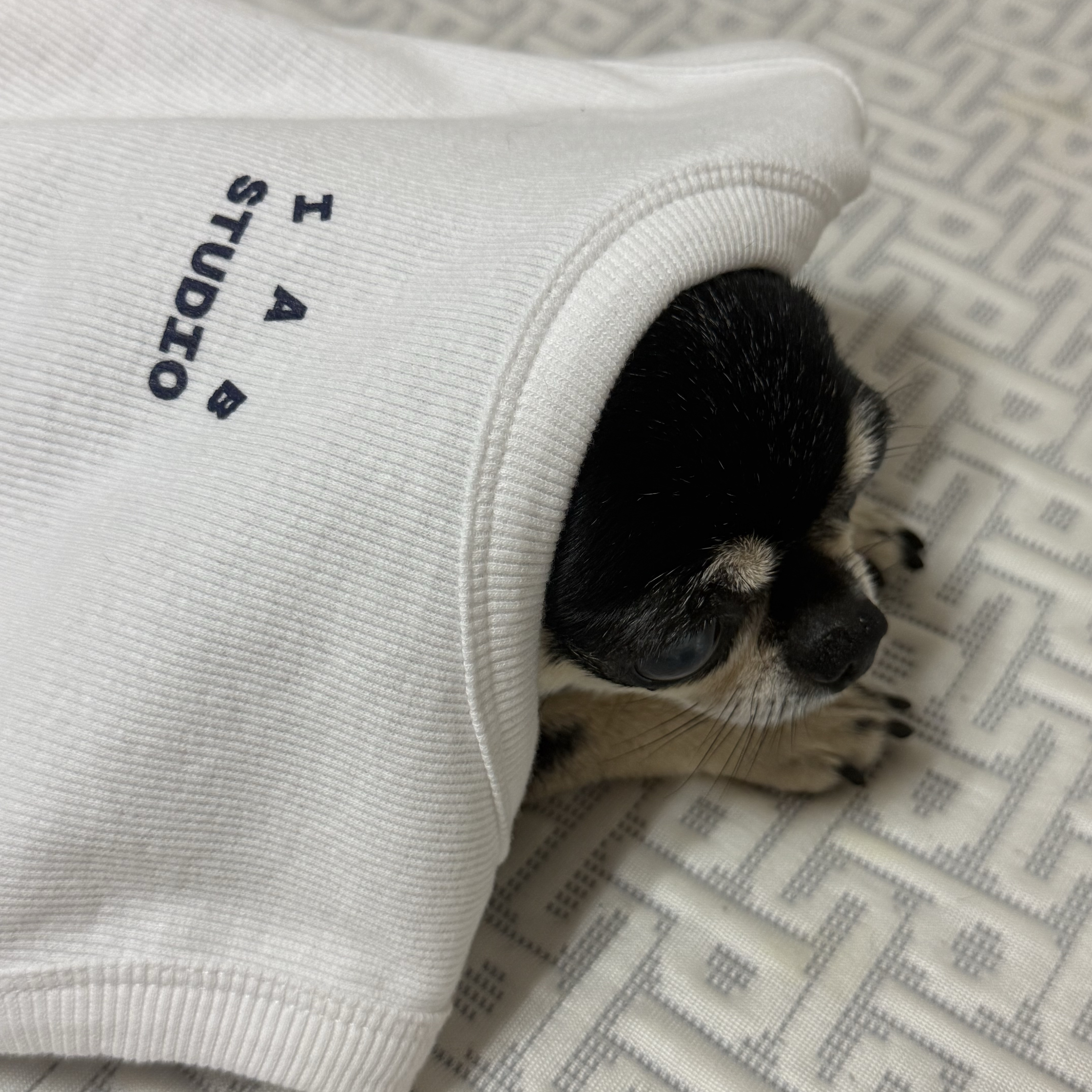IAB Studio Sleeveless Top White Navy 착용 스타일