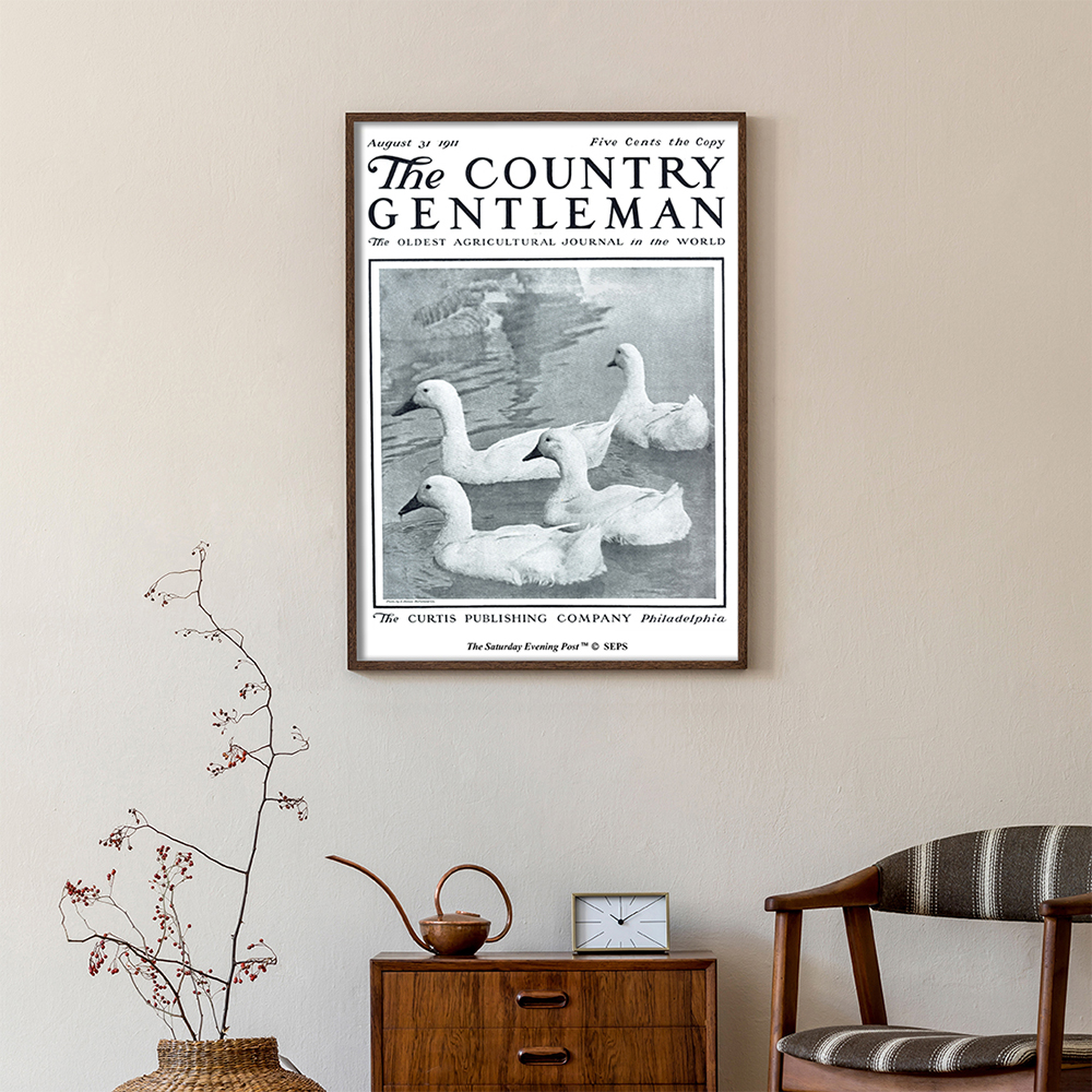더 새터데이 이브닝 포스트 프레임 포스터_연못 속 오리들_A2(The Saturday Evening Post Framed Poster_Ducks in Pond_A2) - 2