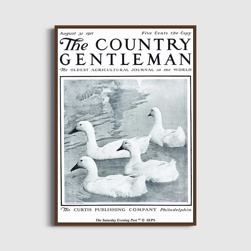 SFX3GD708A The Saturday Evening Post Framed Poster_Ducks in Pond_A2