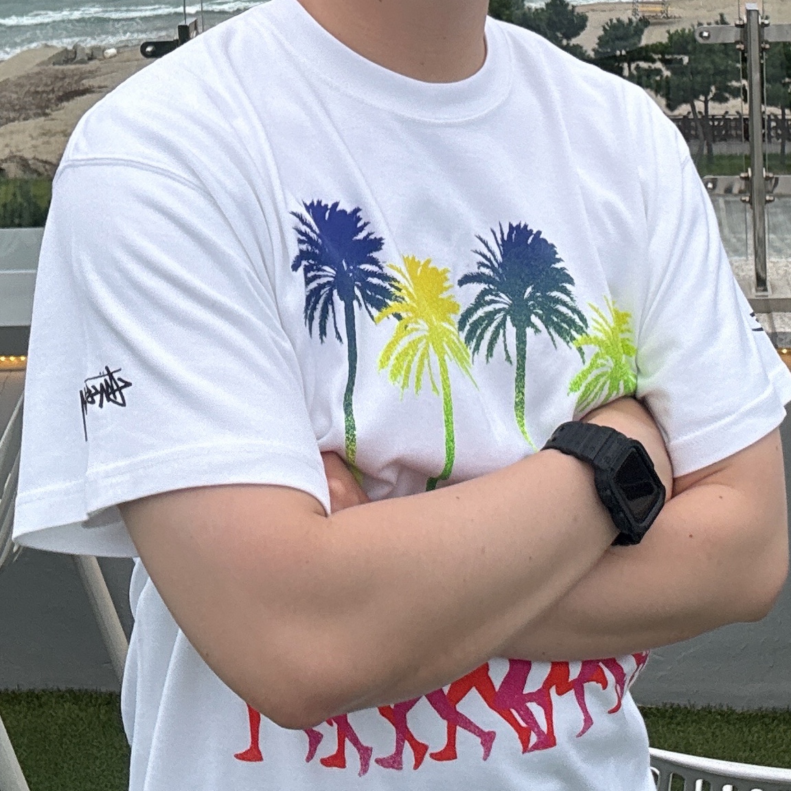 Nike x Stussy Douglas Firs to Palm Trees T-Shirt - Asia 착용 스타일