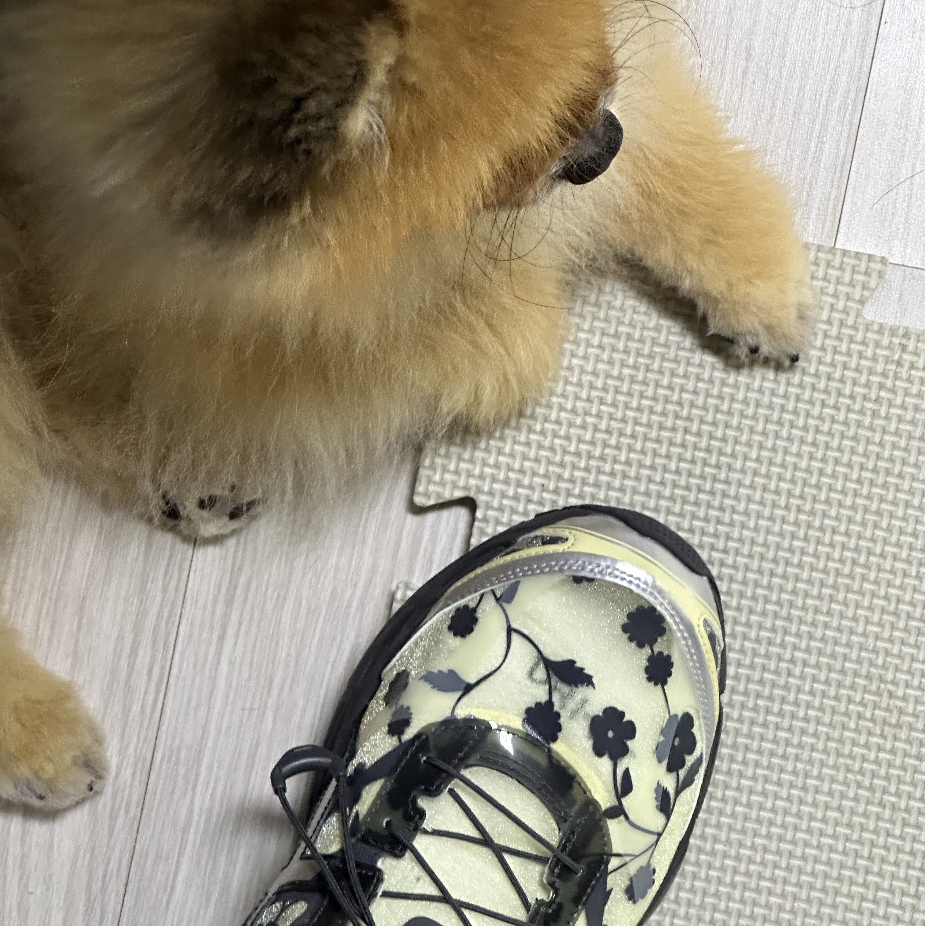 Asics x Cecilie Bahnsen Gel-Cumulus 16 Black Yellow 착용 스타일 - 4
