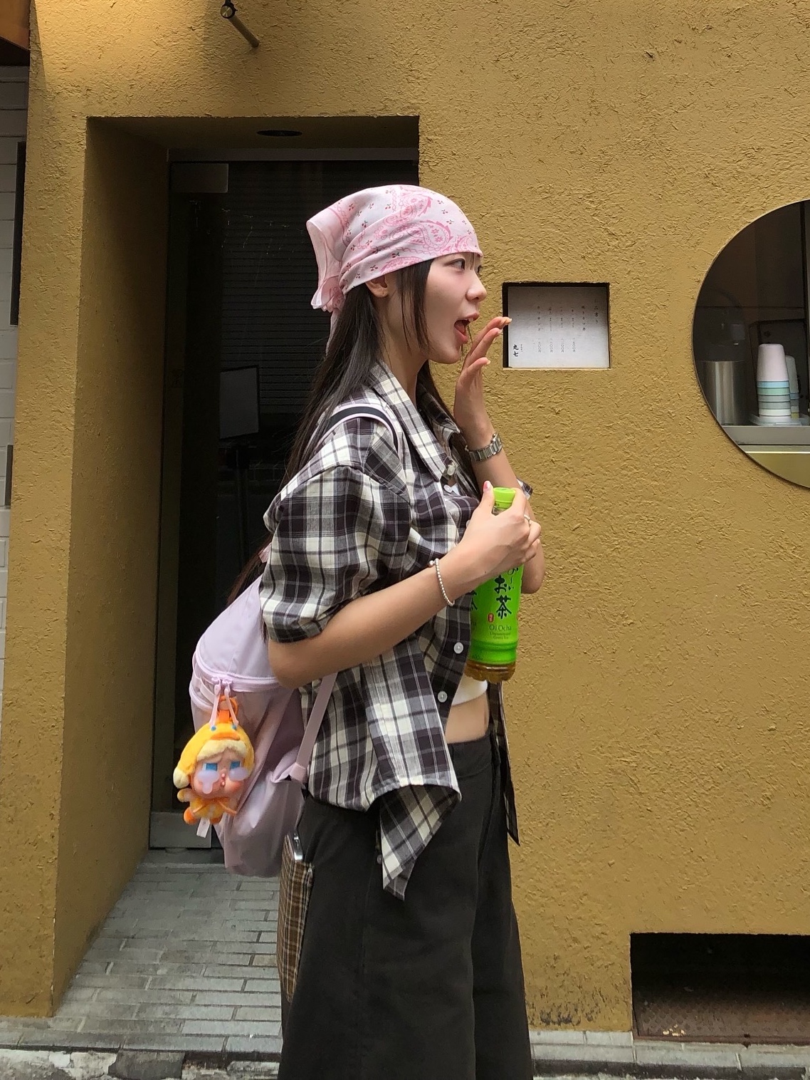 Arc'teryx Heliad 15 Backpack Pink Glow, Pop Mart Crybaby Crying Again Series Plush Keyring Duck You (Opened Case) 착용 스타일