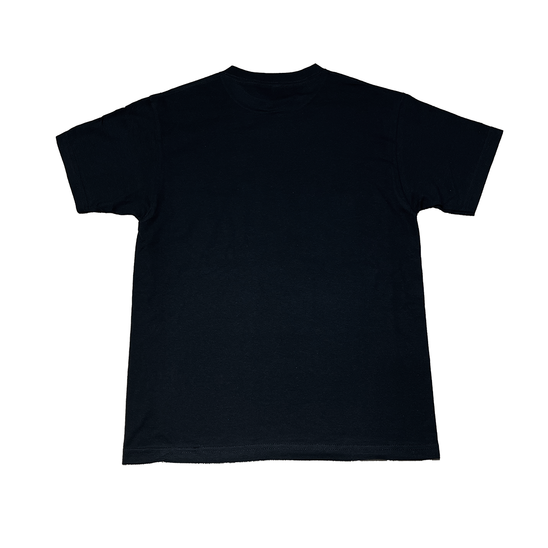 프로젝트 G/R 블로우 미 워시드 티셔츠 브라운 | PROJECT G/R