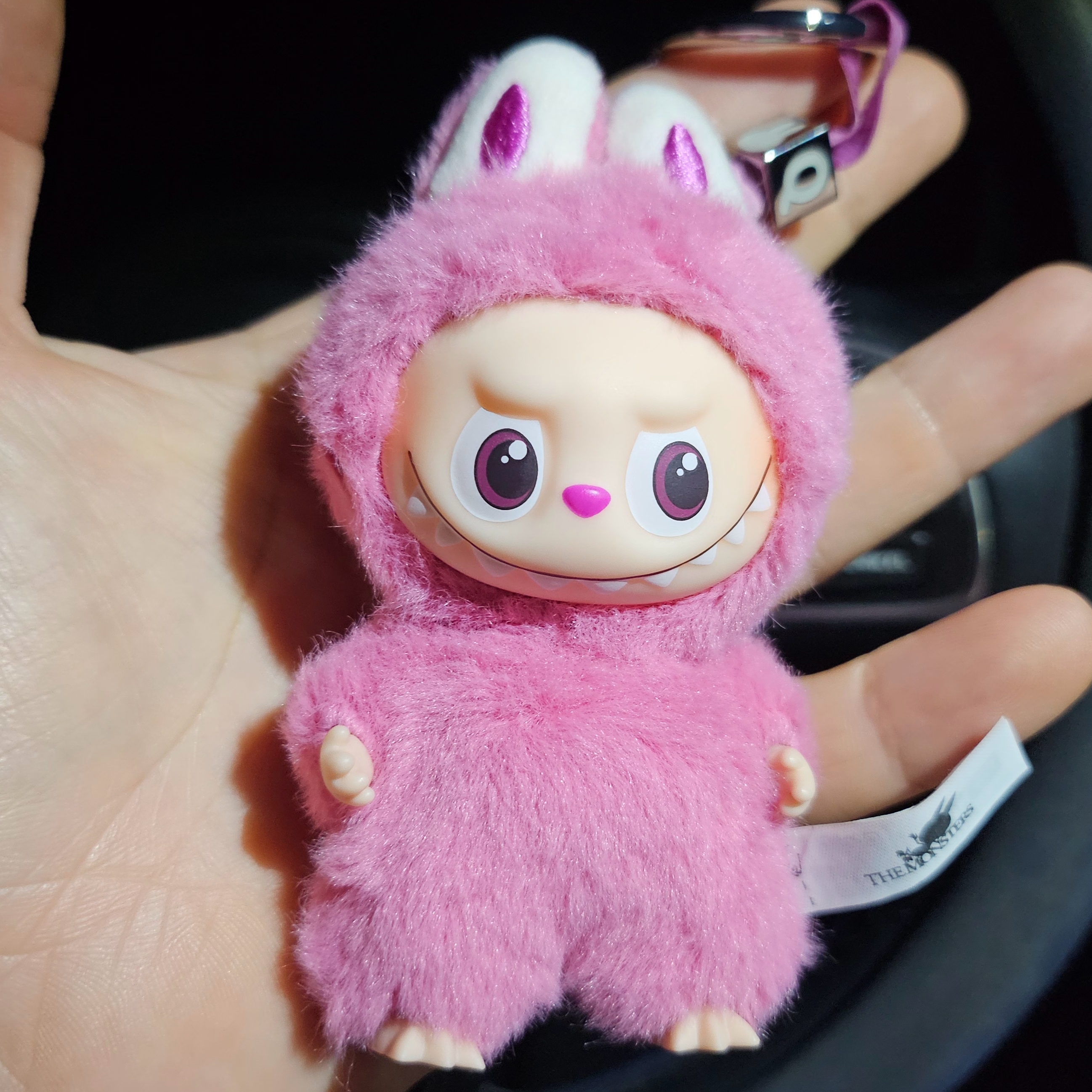 Pop Mart Labubu The Monsters Pin For Love Series Vinyl Plush Pendant (N-Z) Q (Opened Case) 착용 스타일