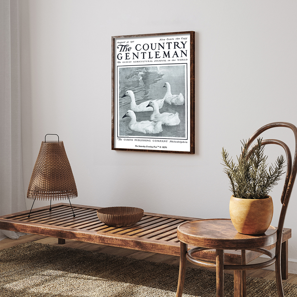더 새터데이 이브닝 포스트 프레임 포스터_연못 속 오리들_A2(The Saturday Evening Post Framed Poster_Ducks in Pond_A2) - 5