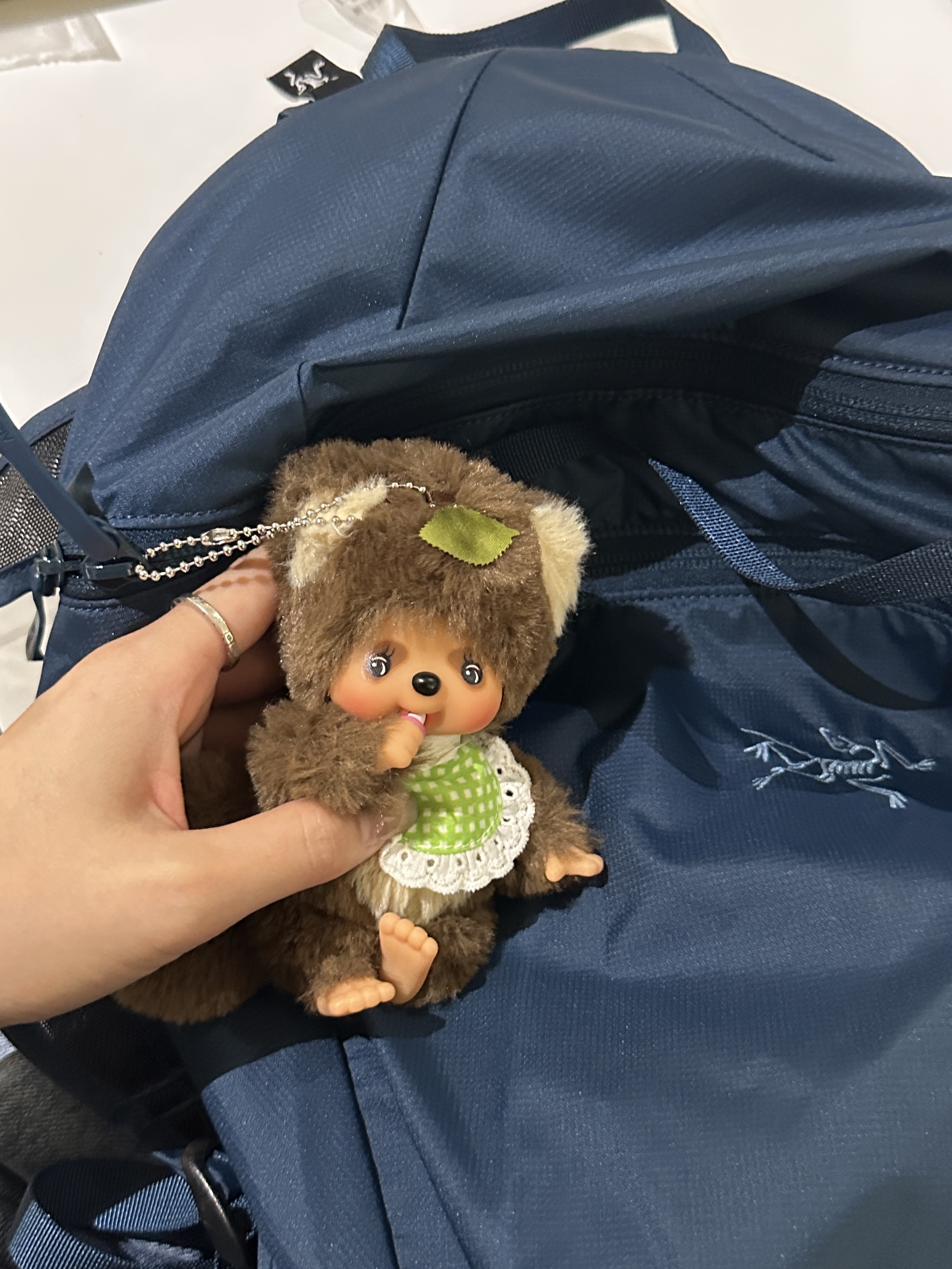 Monchhichi Tanutanu Key Chain Green, Arc'teryx Heliad 15 Backpack Nightscape 착용 스타일 - 2