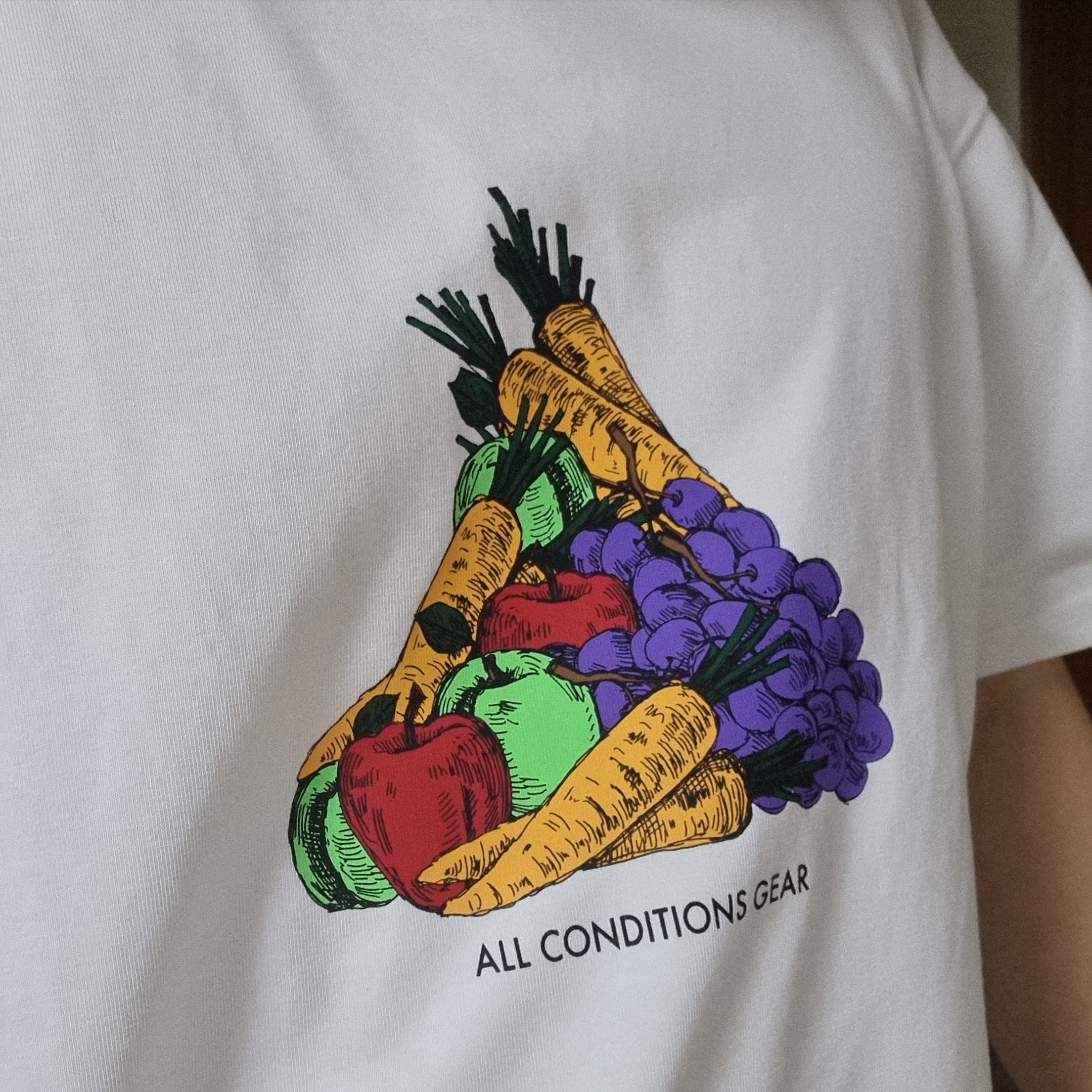 Nike ACG Fruit and Veggies T-Shirt - Asia 착용 스타일