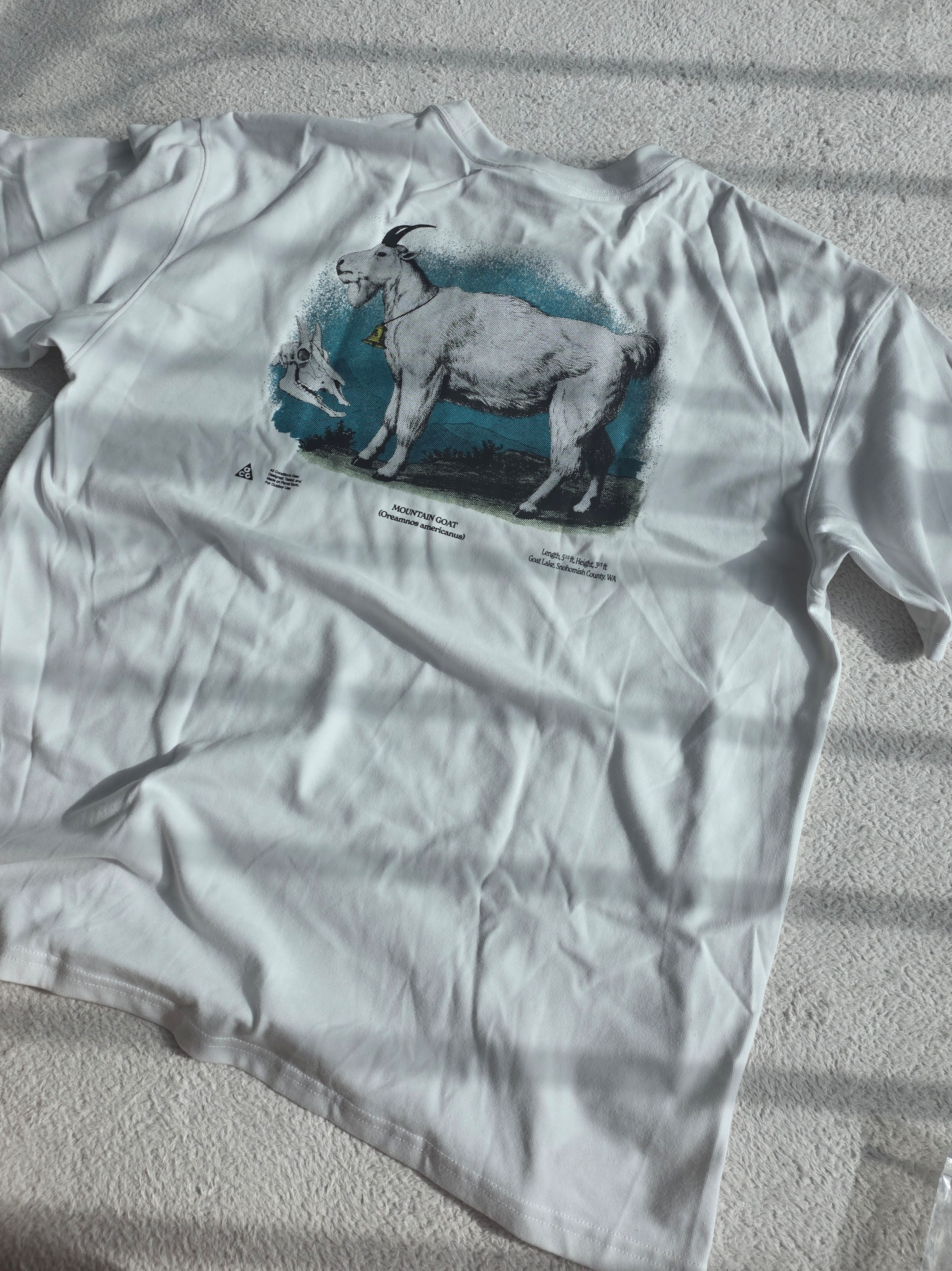 Nike ACG Dri-Fit T-Shirt Summit White - Asia 착용 스타일 - 1