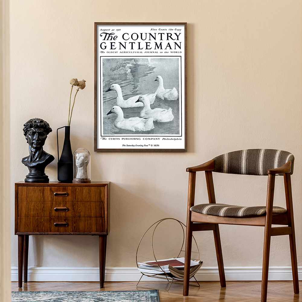 더 새터데이 이브닝 포스트 프레임 포스터_연못 속 오리들_A2(The Saturday Evening Post Framed Poster_Ducks in Pond_A2) - 3