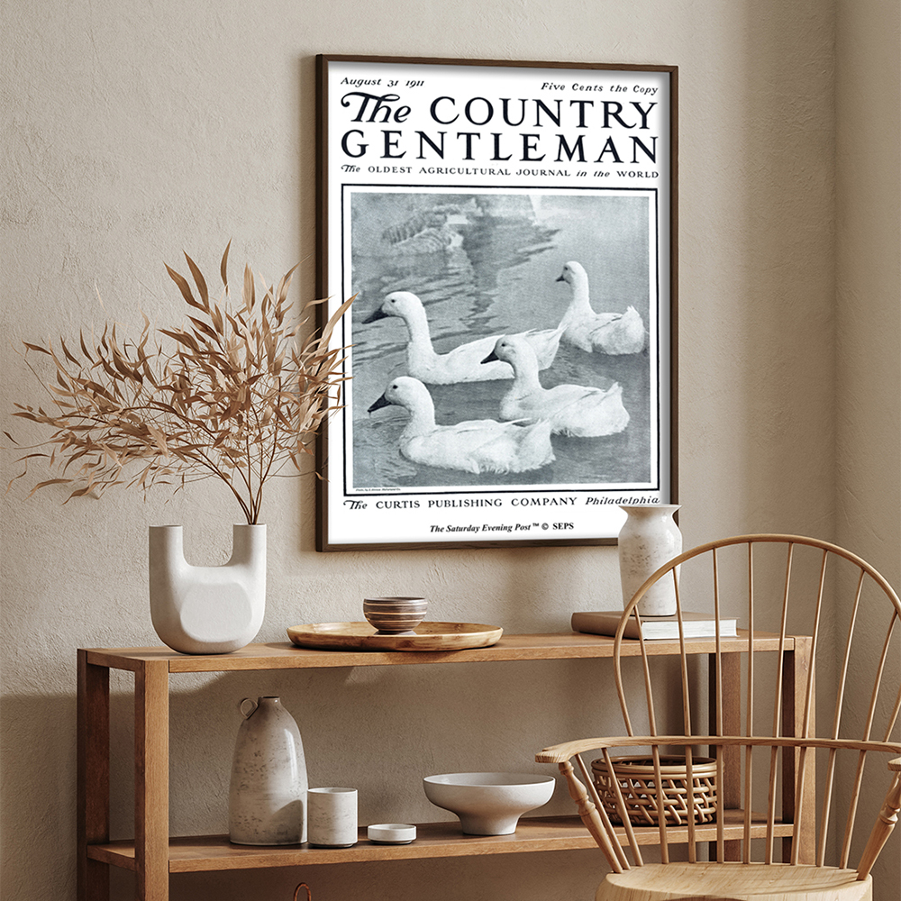 더 새터데이 이브닝 포스트 프레임 포스터_연못 속 오리들_A2(The Saturday Evening Post Framed Poster_Ducks in Pond_A2) - 4
