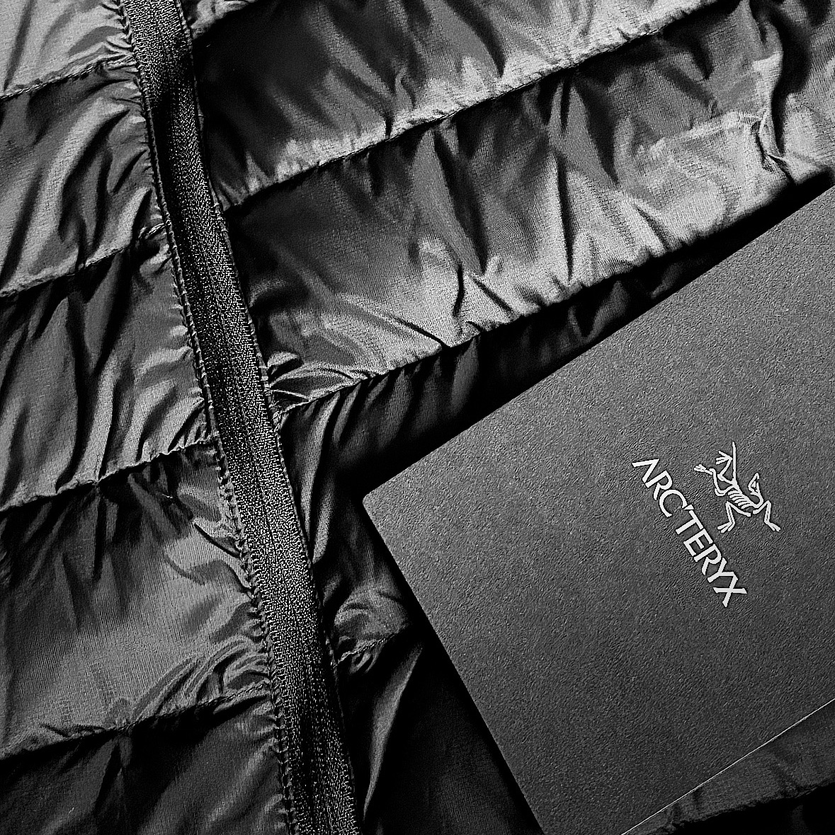 Arc'teryx Cerium Hoody Black 착용 스타일