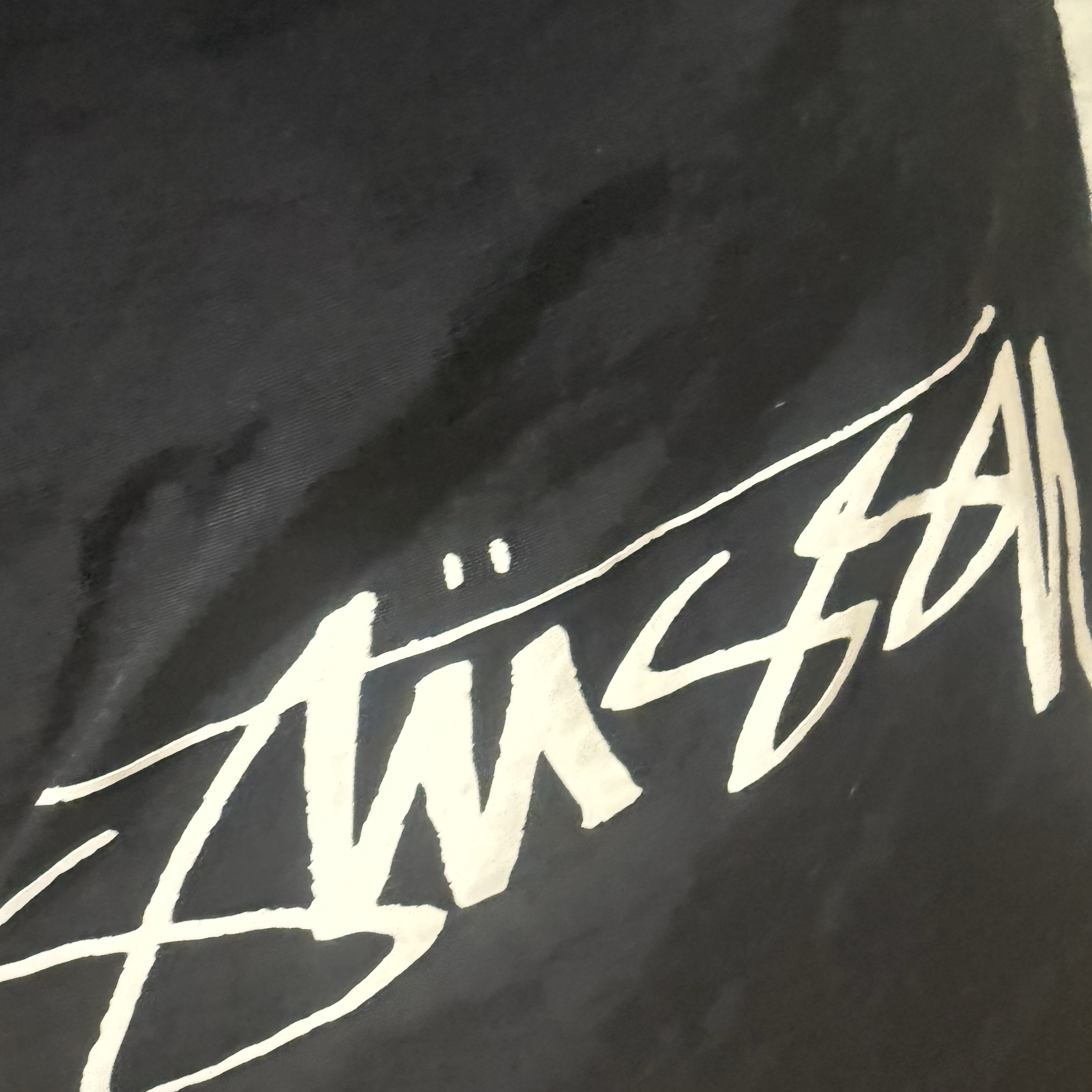 Nike x Stussy Shorts Black (FJ9167-010) 착용 스타일