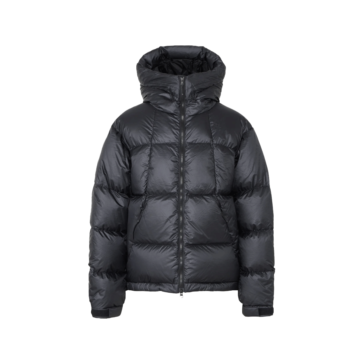 골드윈 퍼텍스 퀀텀 다운 파카 블랙 - 24FW(Goldwin Pertex Quantum Down Parka Black - 24FW)