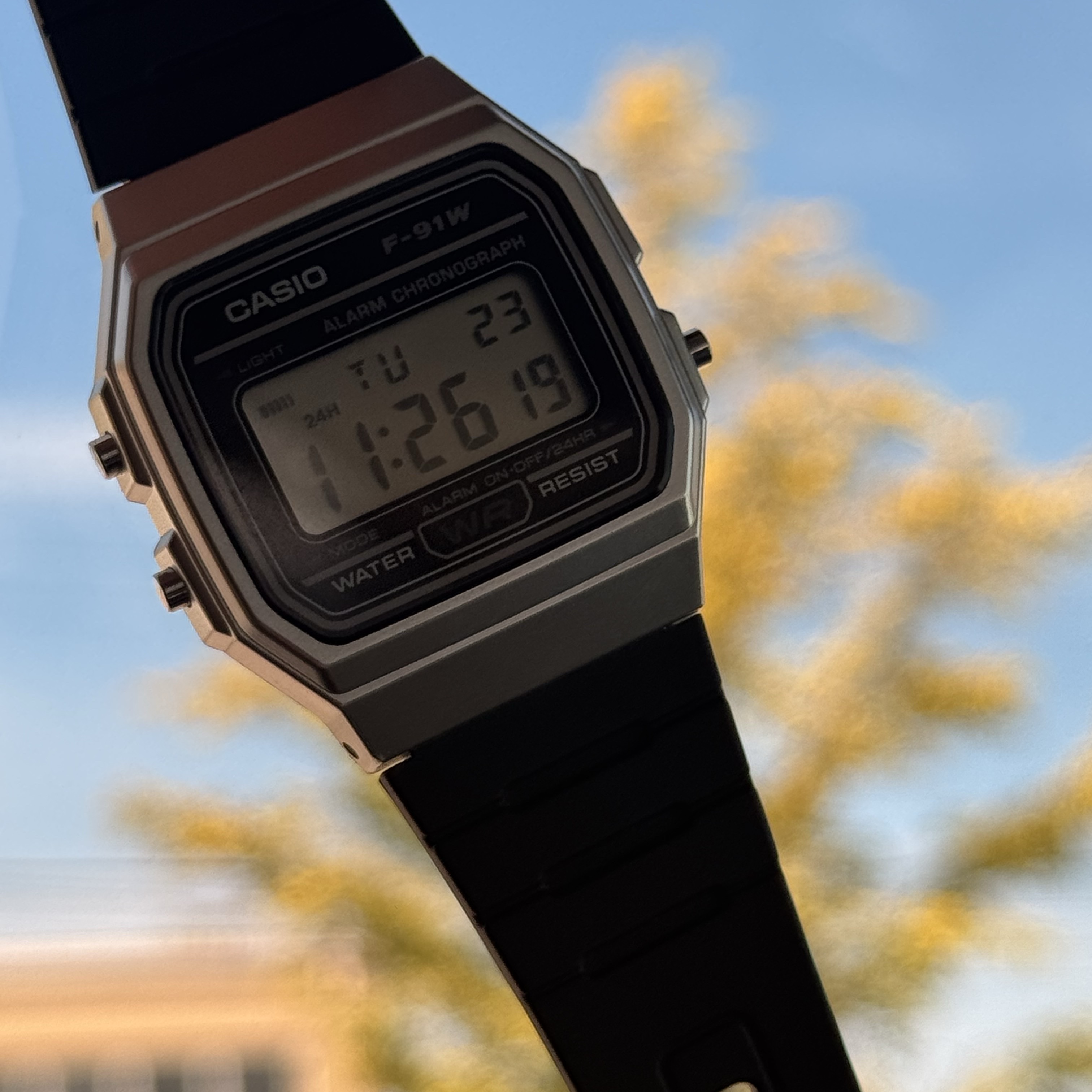 Casio F-91WM-7 착용 스타일