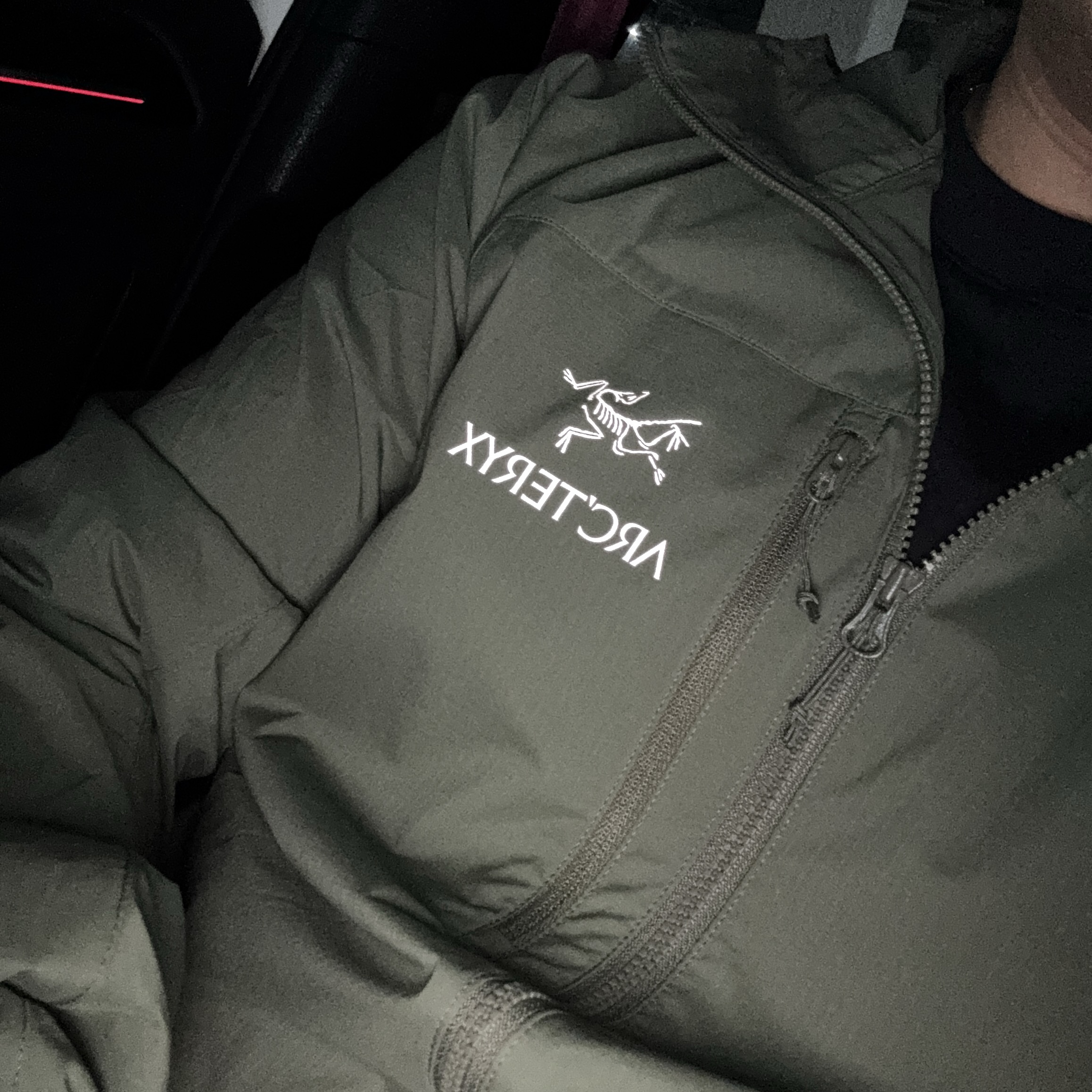 Arc'teryx Squamish Hoody Forage 착용 스타일 - 2