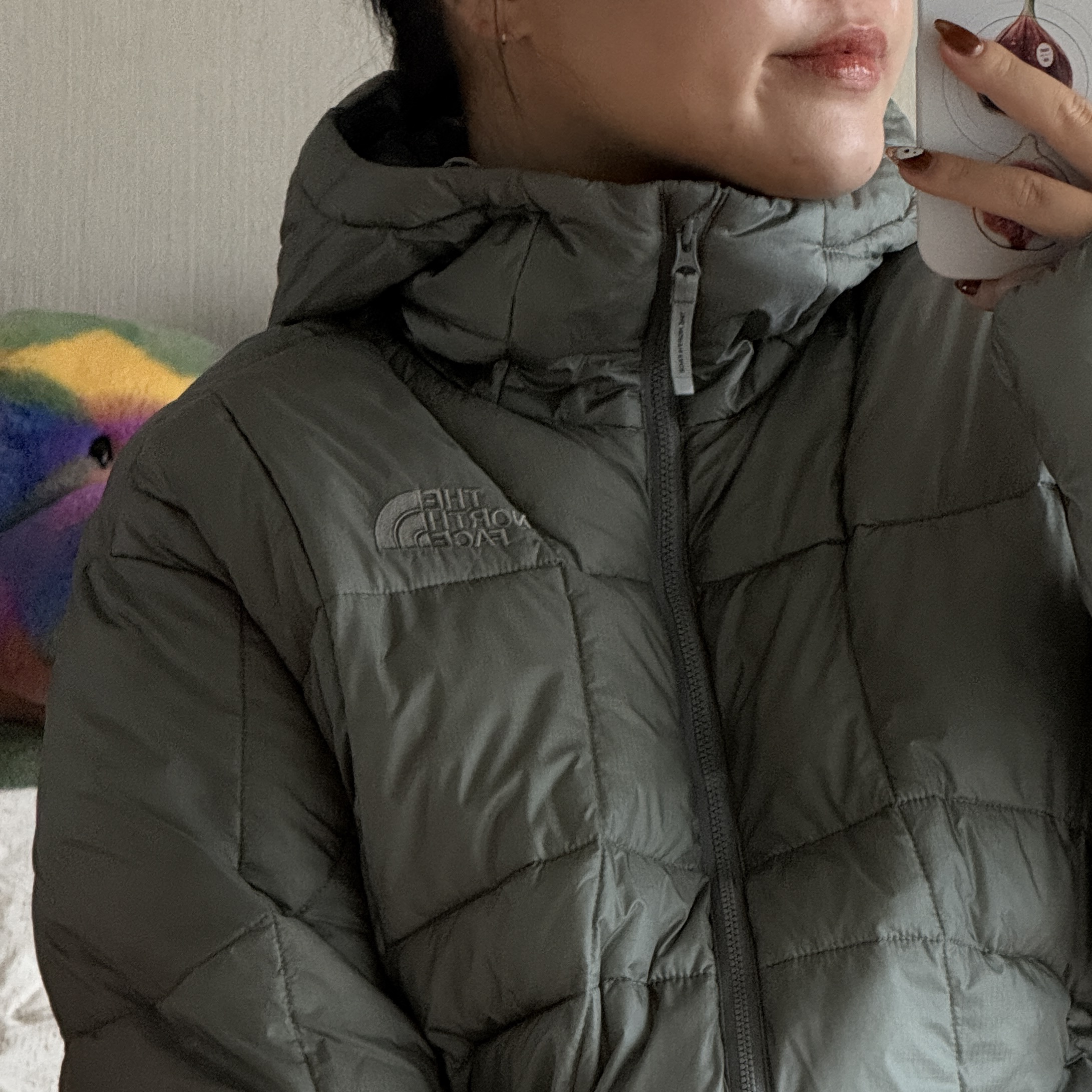 The North Face Wave LT On Jacket Gray 착용 스타일 - 5