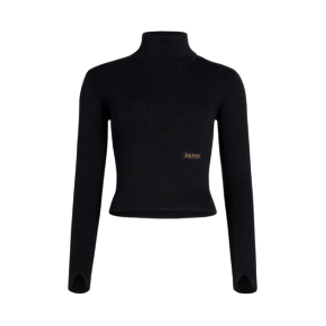 (W) 파투 서스테이너블 울 캐시미어 립드 터틀넥 점퍼 블랙((W) Patou Ribbed Turtleneck Jumper in Sustainable Wool and Cashmere Black)