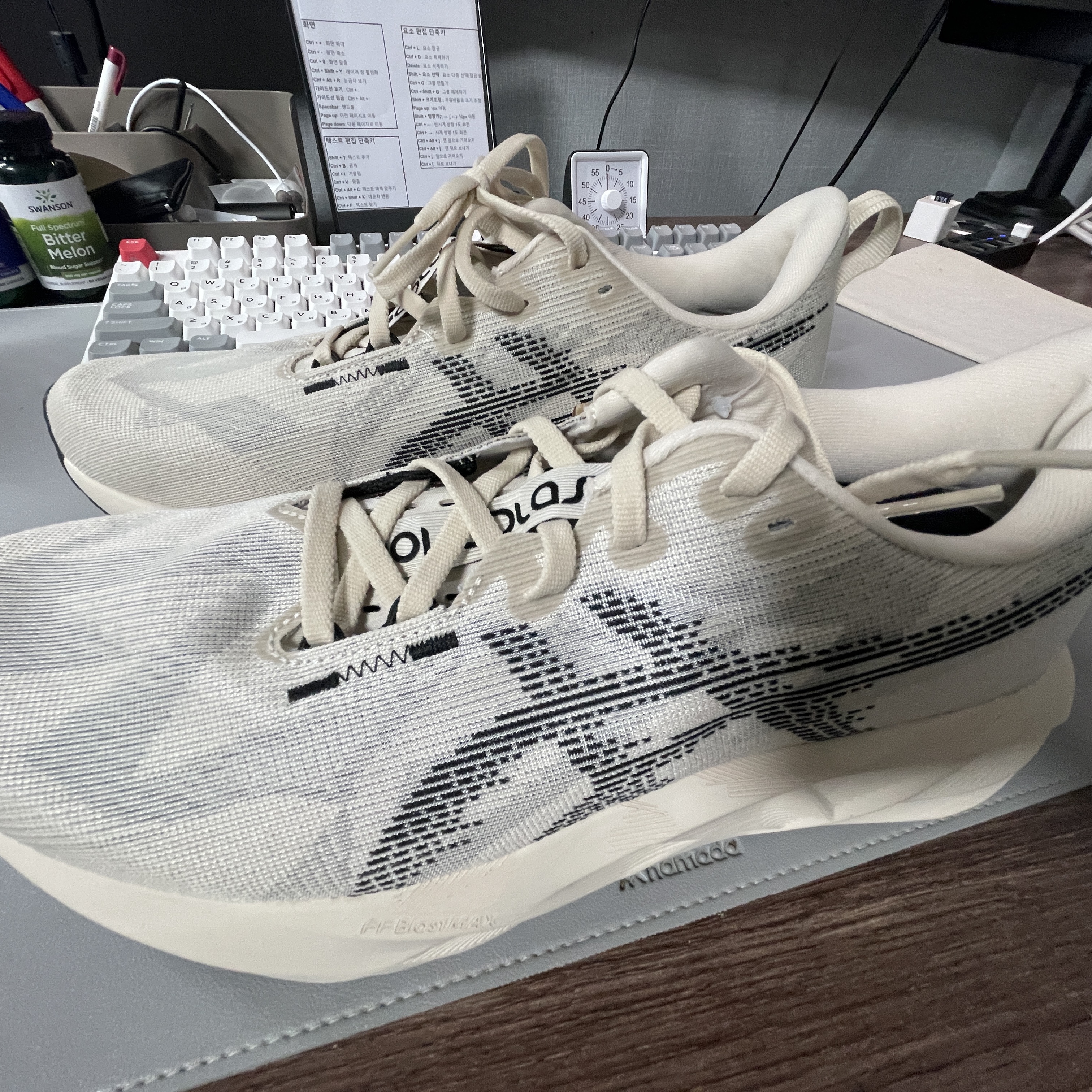 Asics Novablast 5 Oatmeal Black - D Standard 착용 스타일