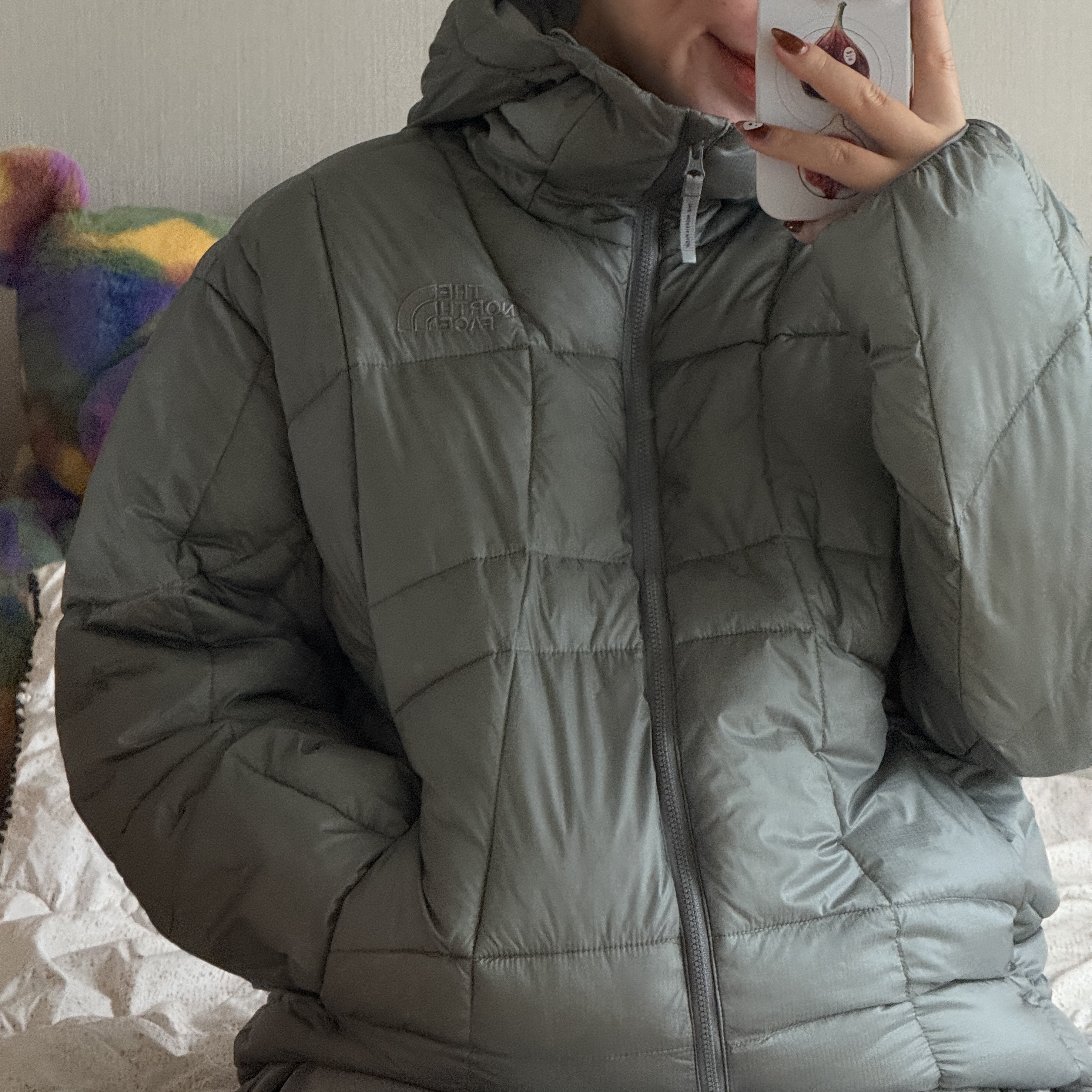 The North Face Wave LT On Jacket Gray 착용 스타일 - 1