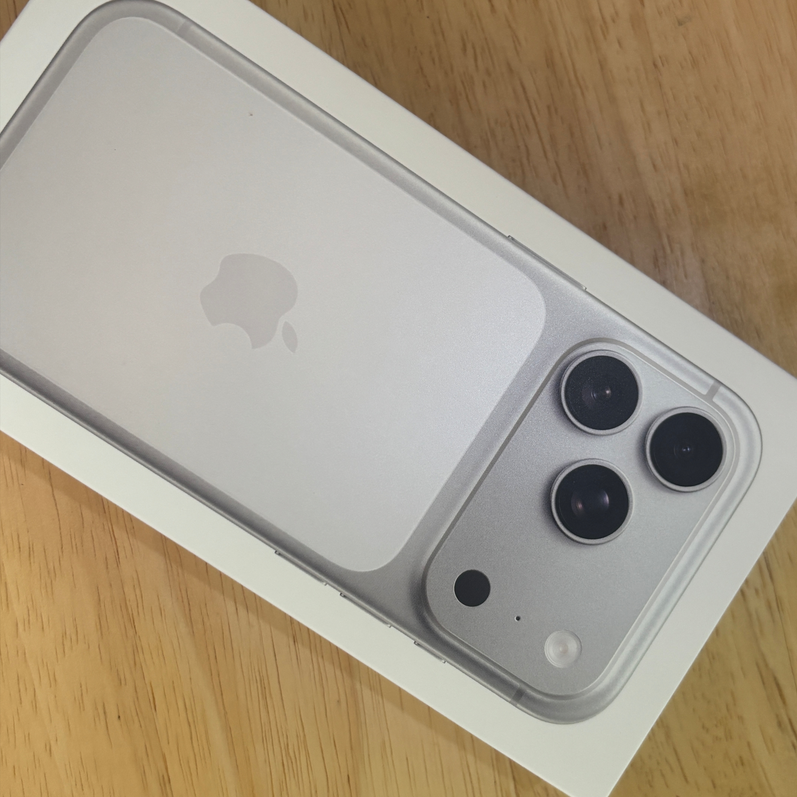 Apple iPhone 17 Pro 256GB Silver 착용 스타일