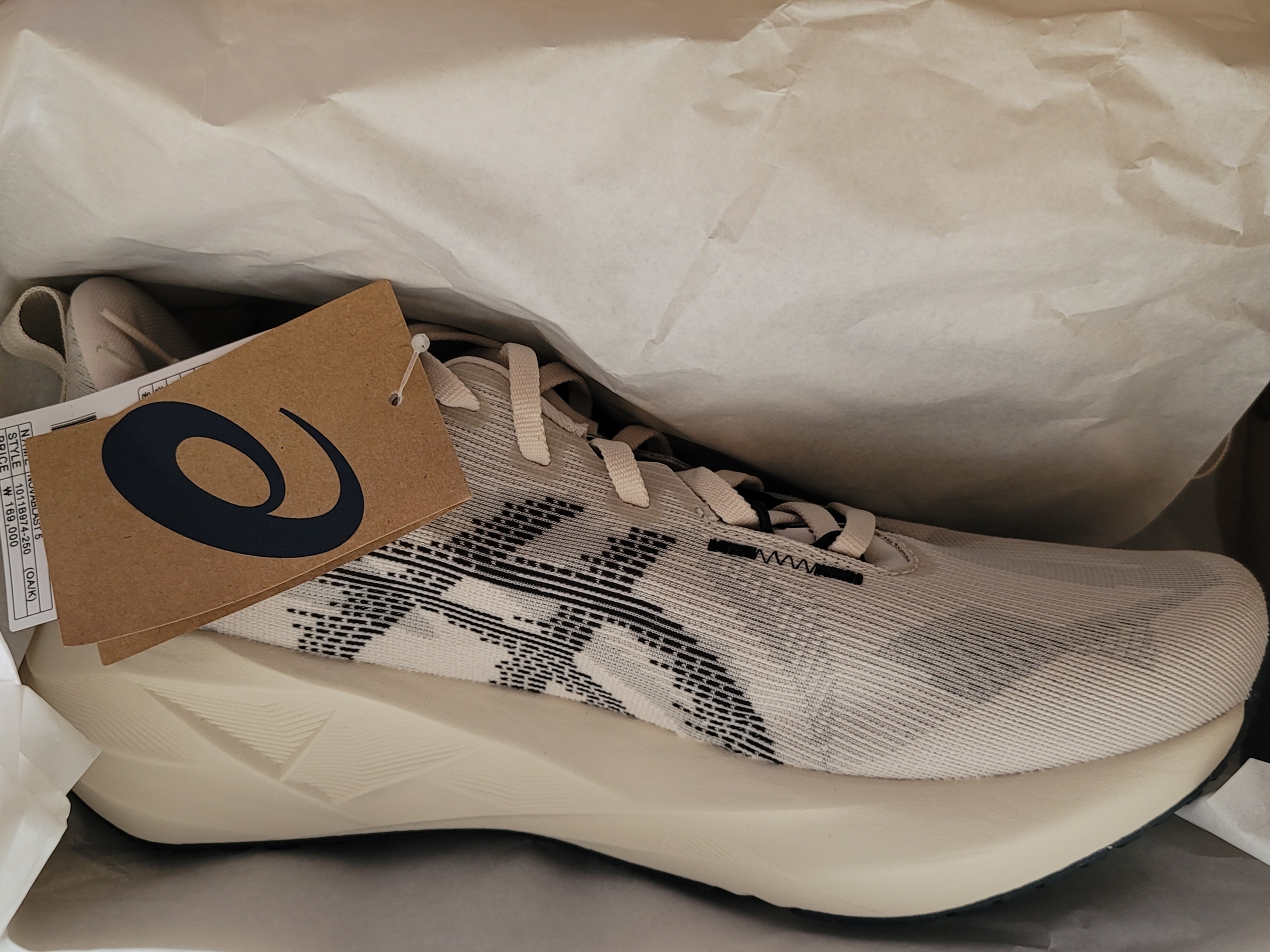 Asics Novablast 5 Oatmeal Black - D Standard 착용 스타일