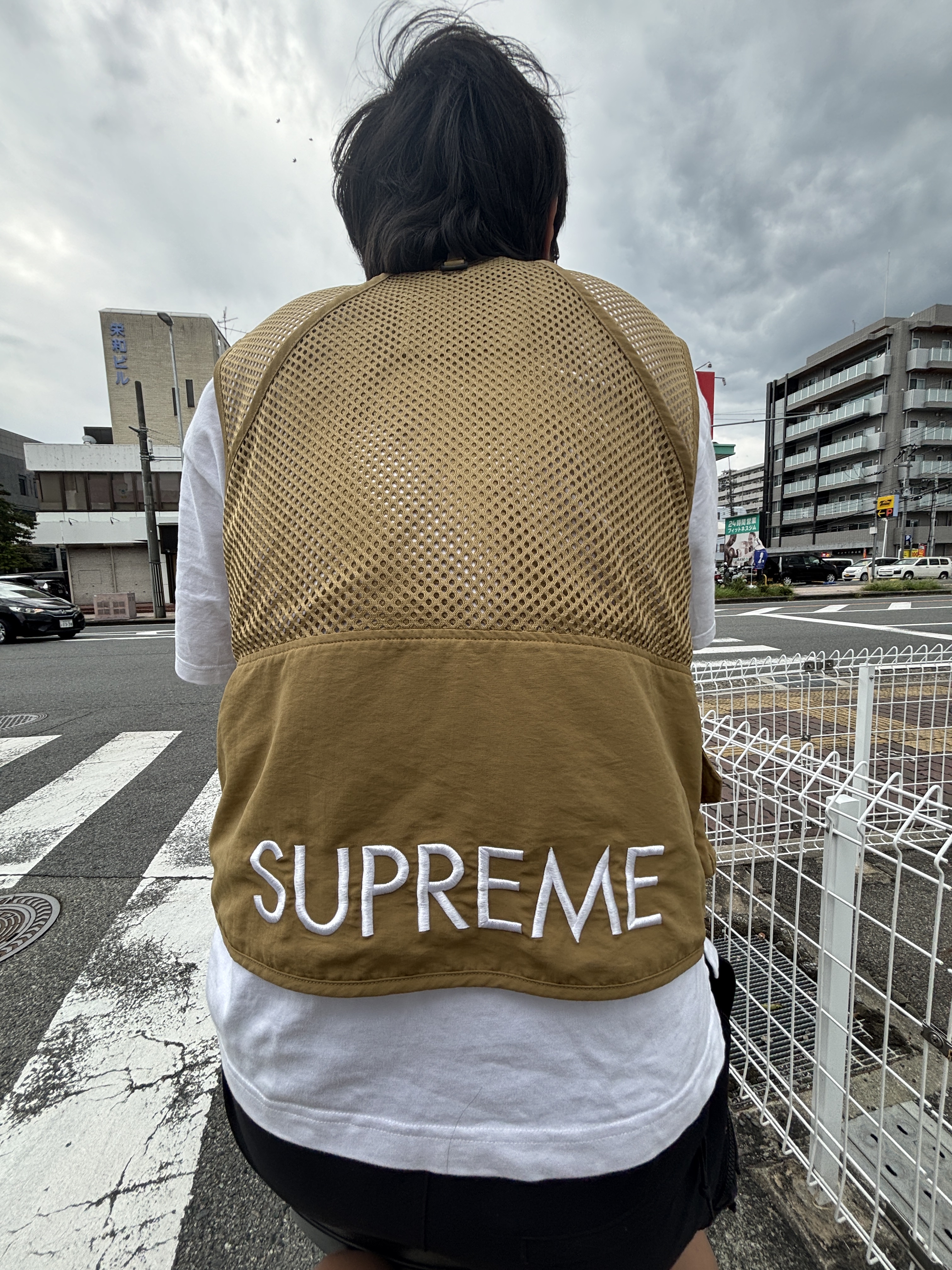 Supreme x The North Face Cargo Vest Gold - 20SS, Nike ACG Cargo Shorts Black - Asia 착용 스타일