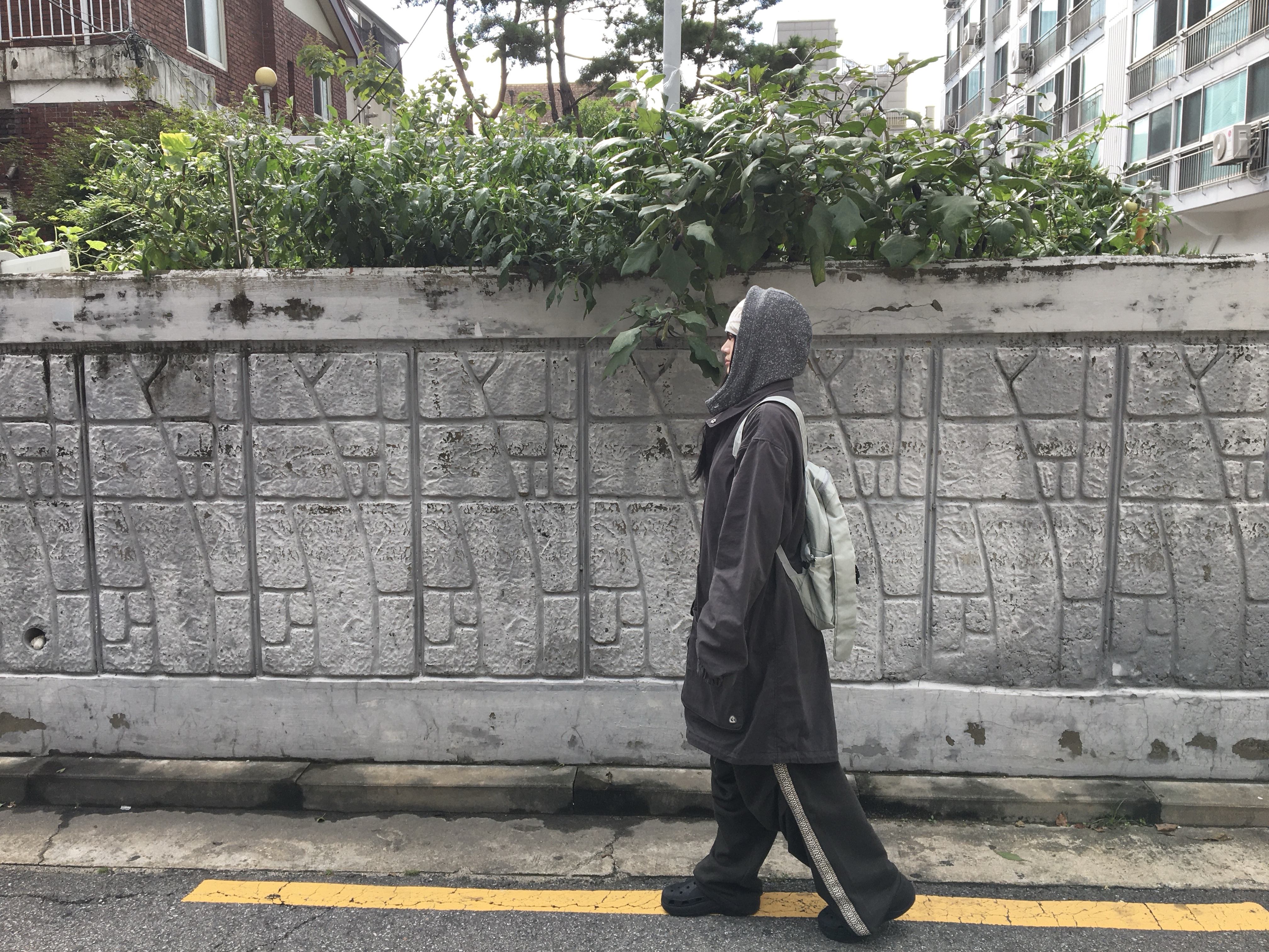 ์์
์ด๋ฏธ์ง