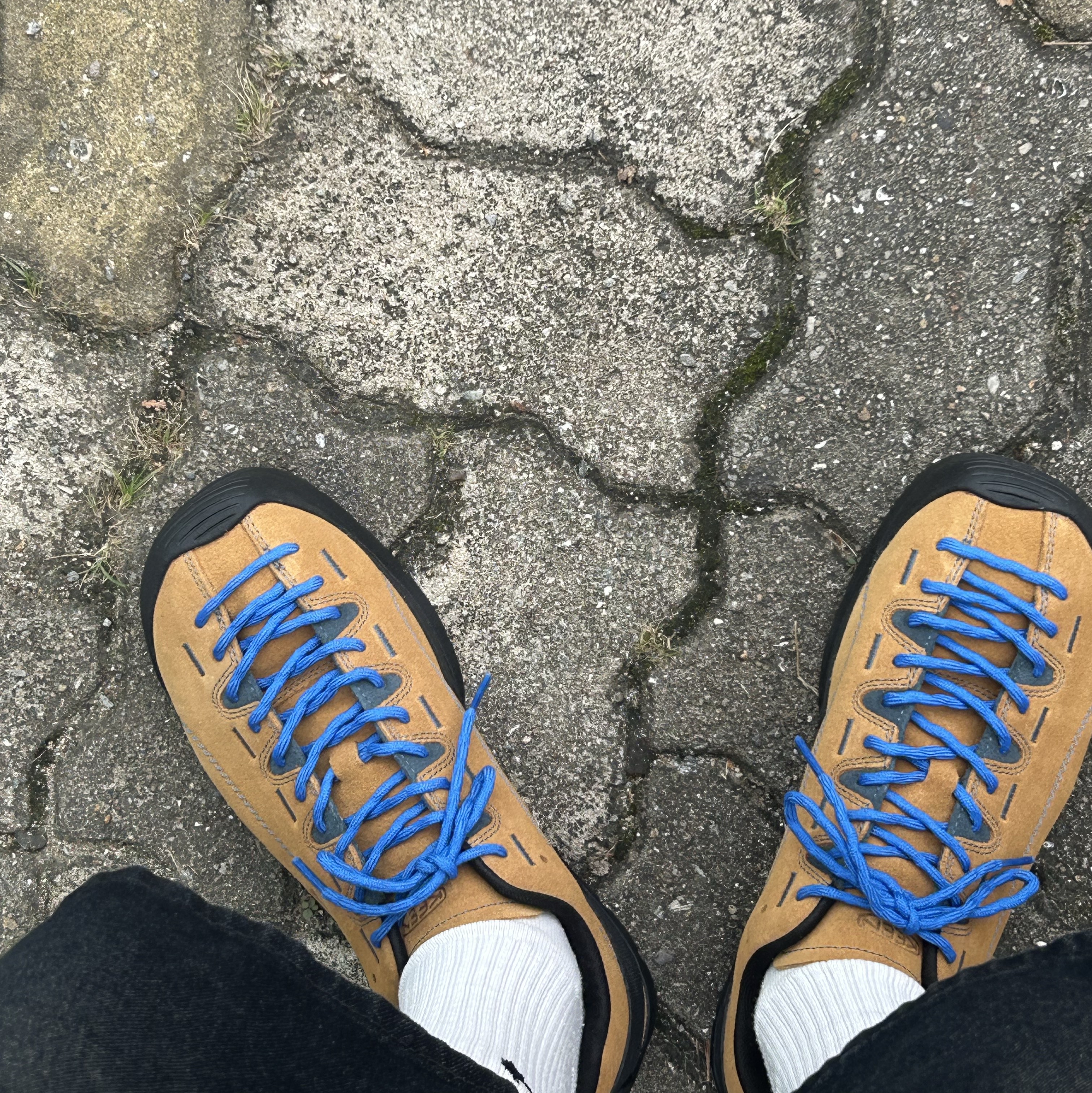 Keen Jasper Suede Sneakers Camel 착용 스타일 - 1
