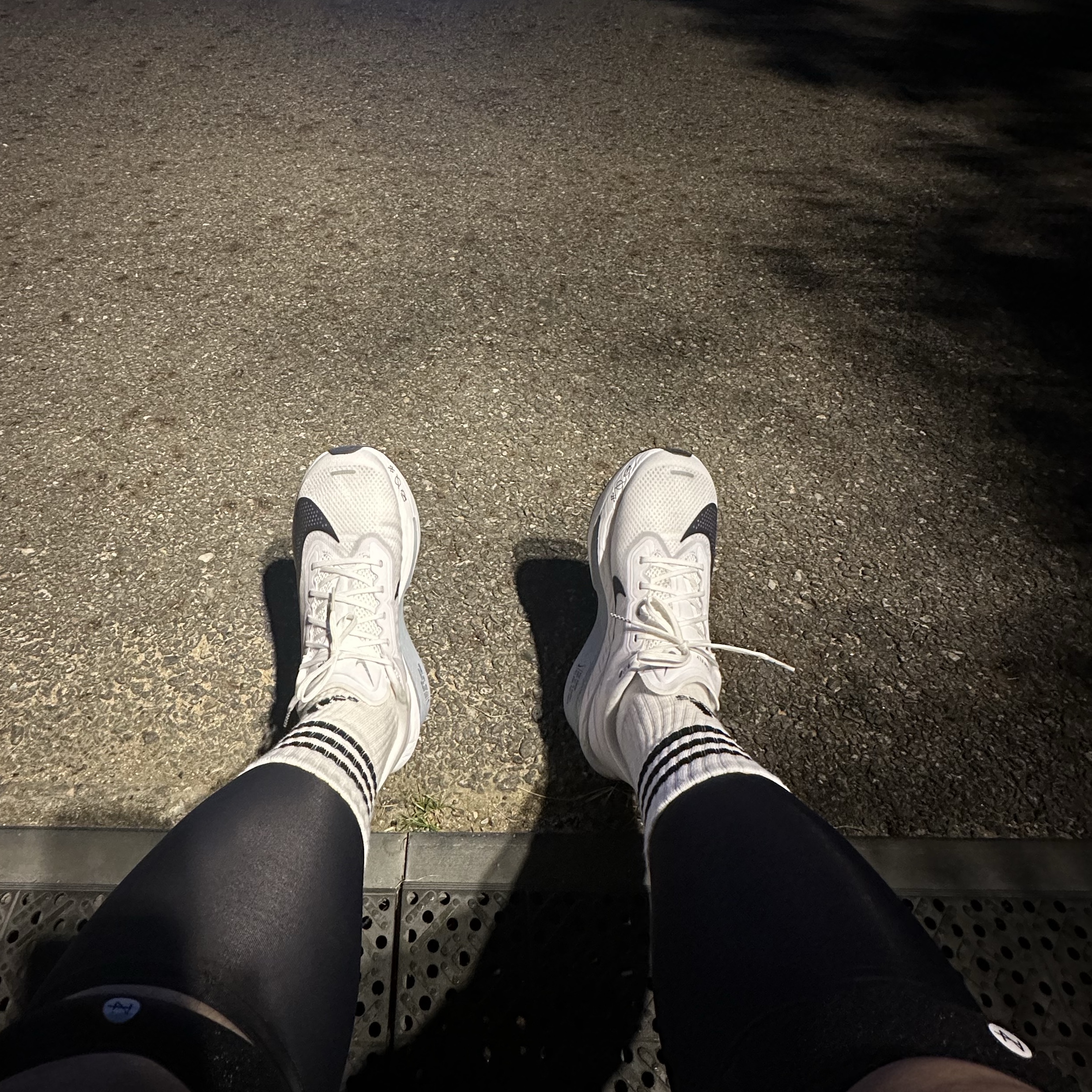 Nike Zoom Fly 6 White Pure Platinum 착용 스타일